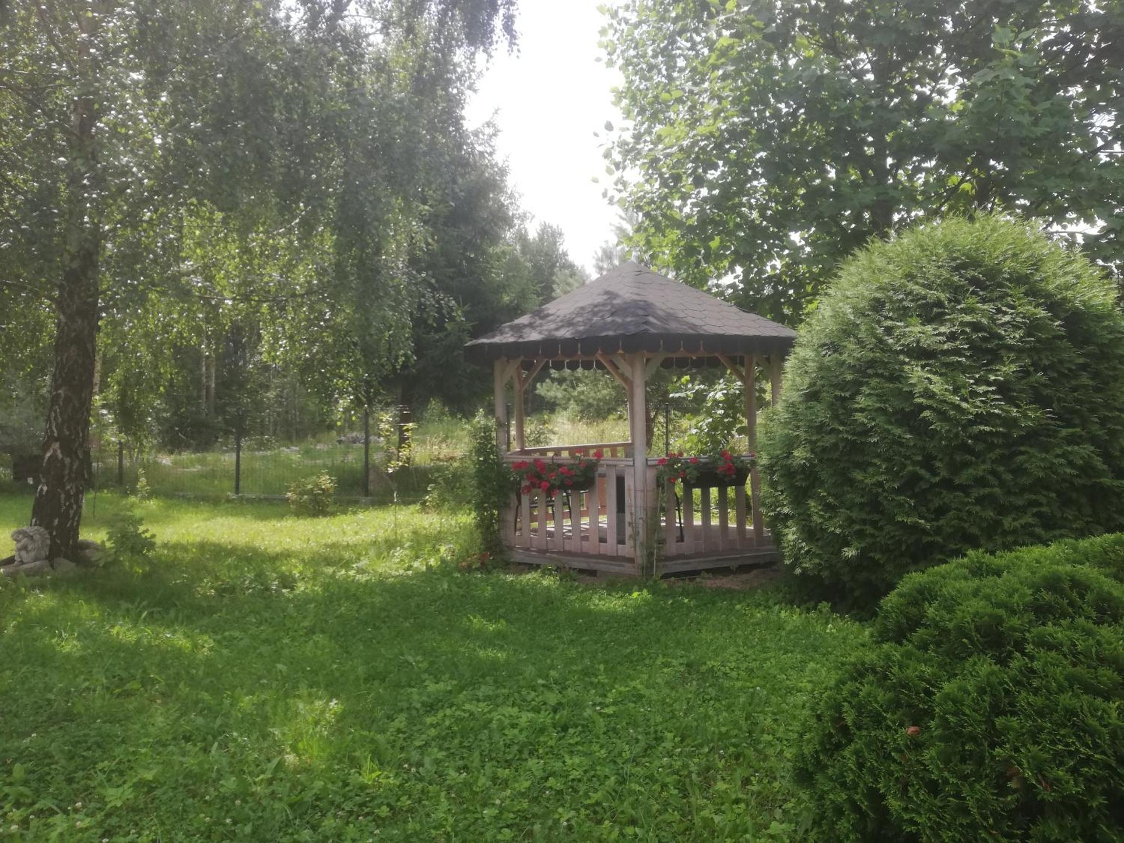 Photo 9