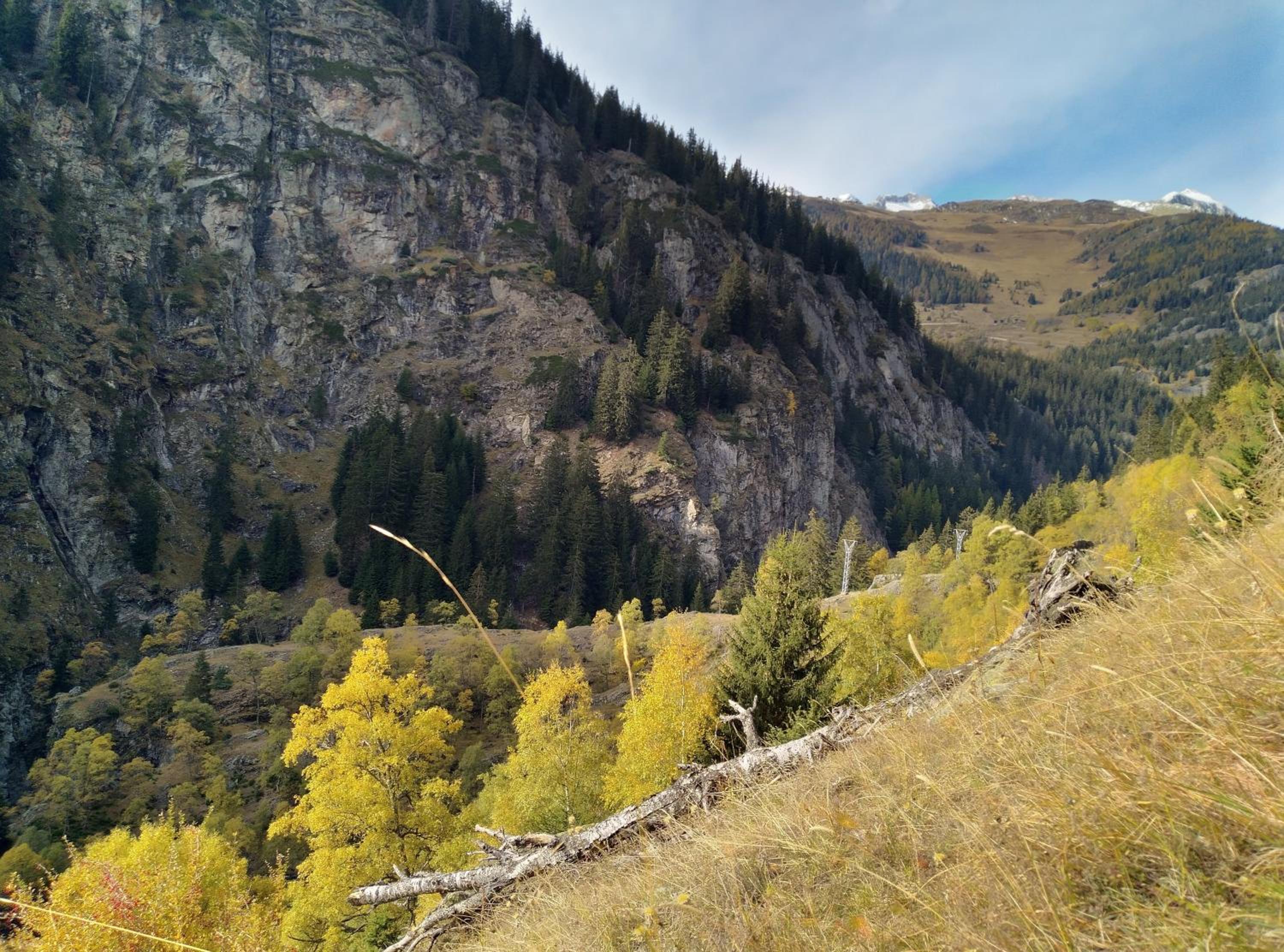 Arve, photo 18