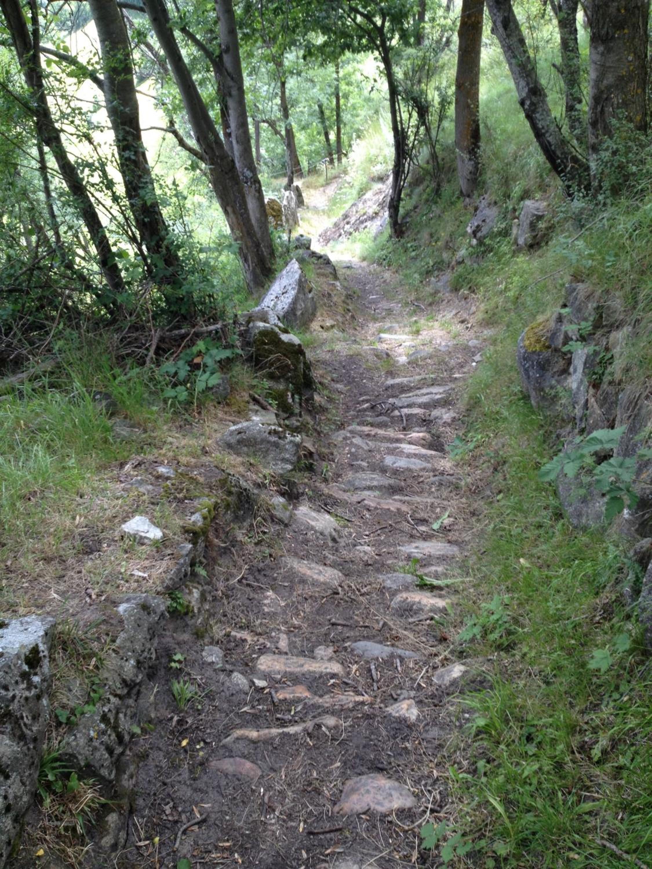 Arve, photo 39