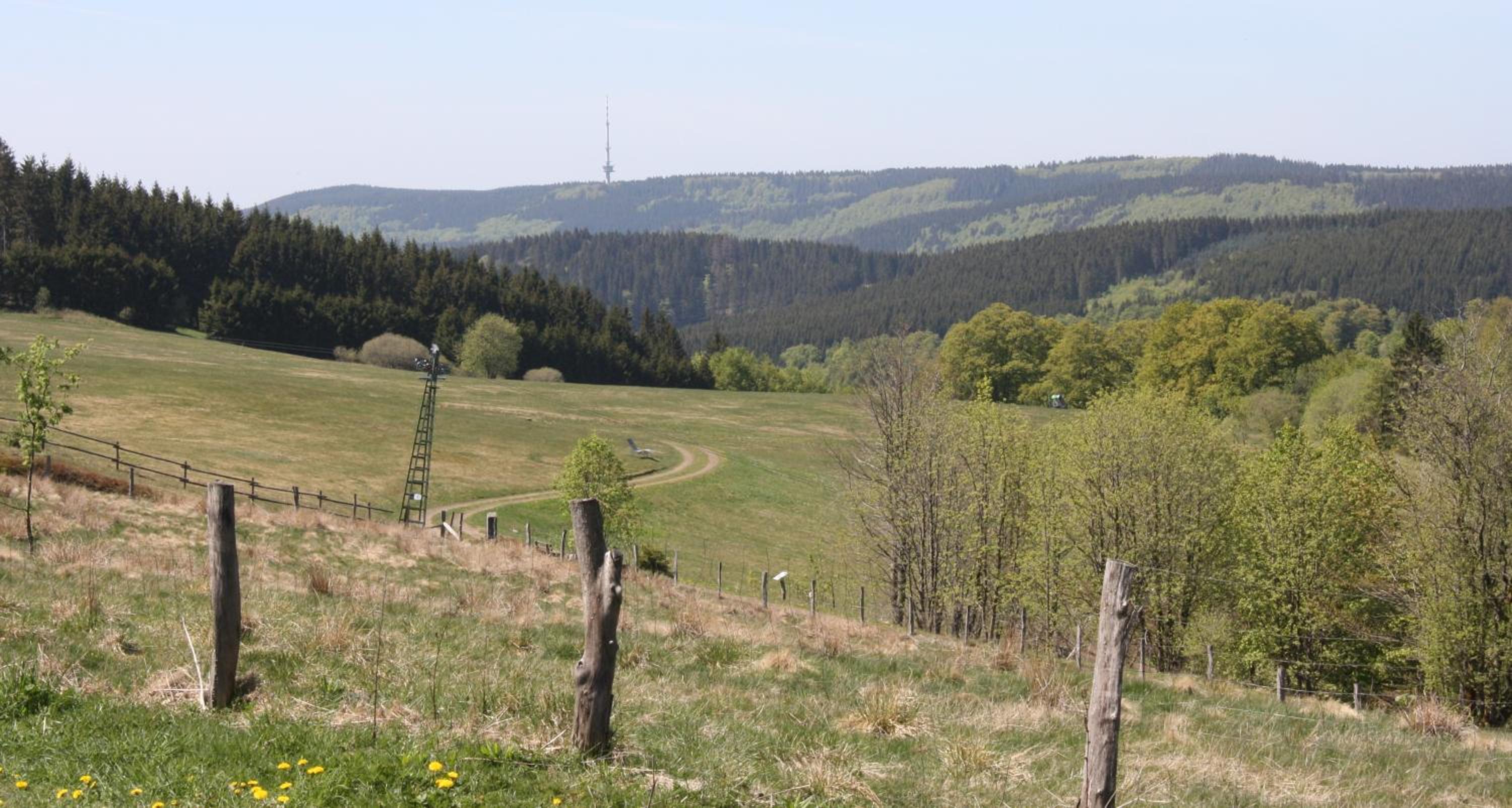 Ferienwohnung Zum Heideblick - Property Image 8