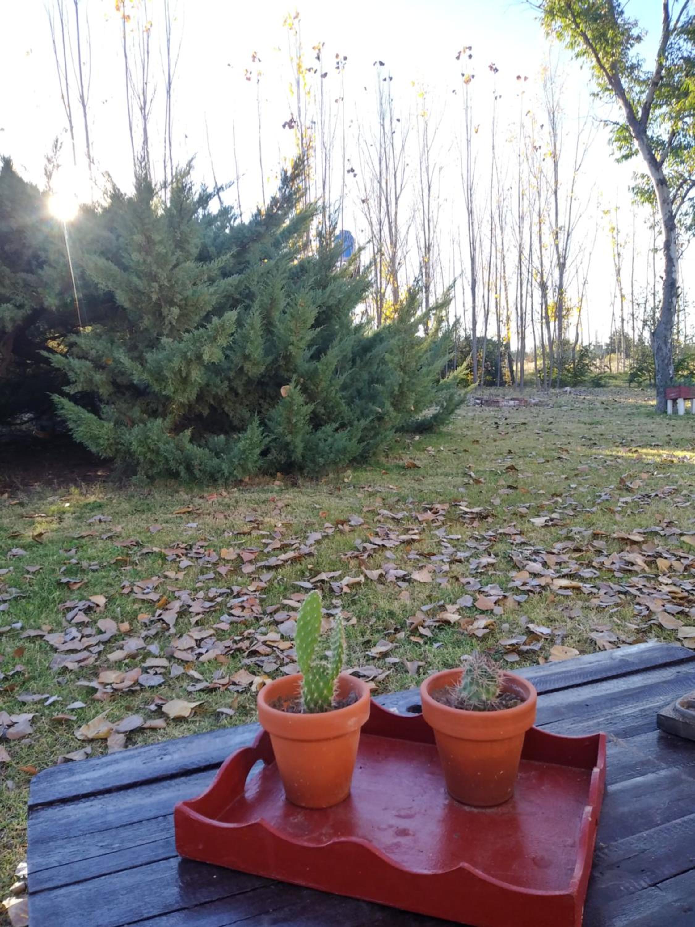 Apartamento Cerrito