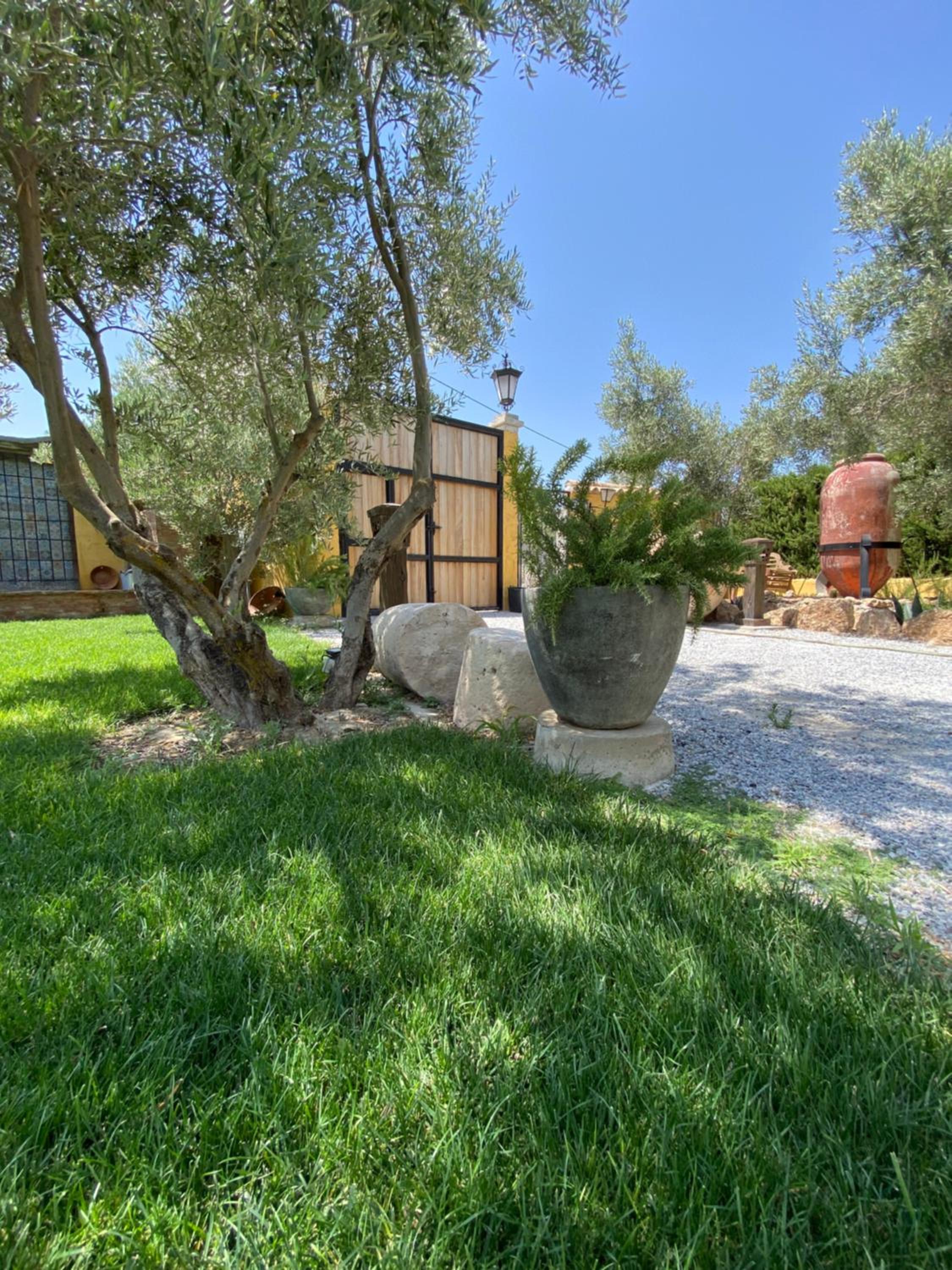 Cortijo Bustamante view 2