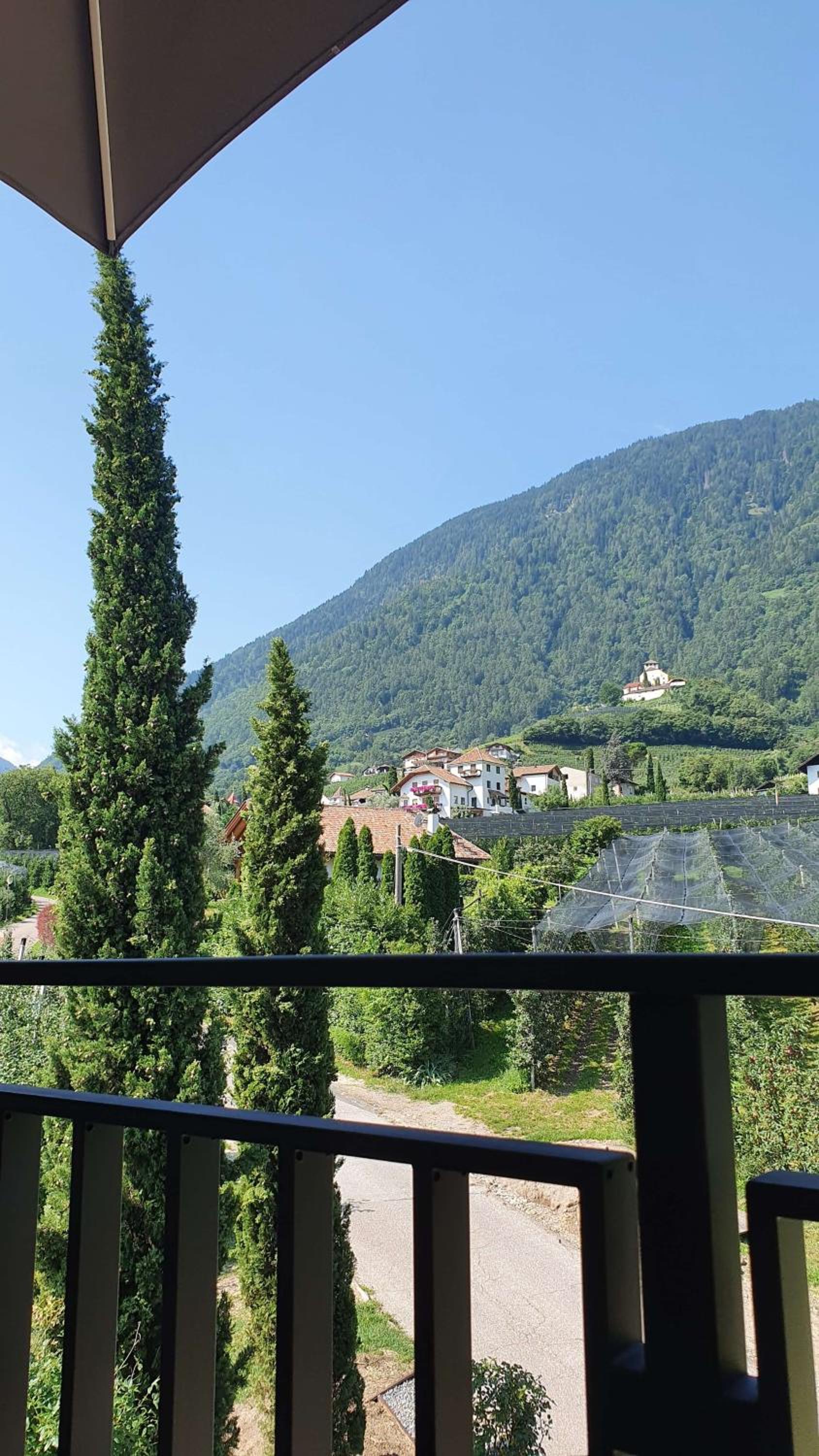 Photo 32