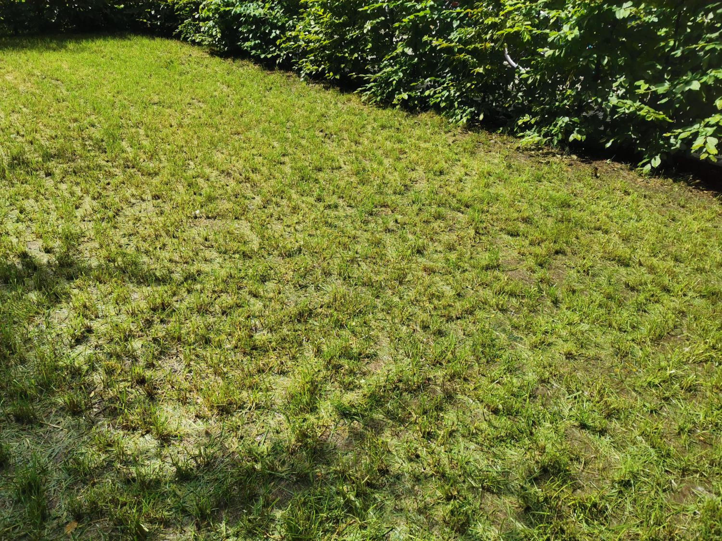Apartment near fair and central City in few min, with garden