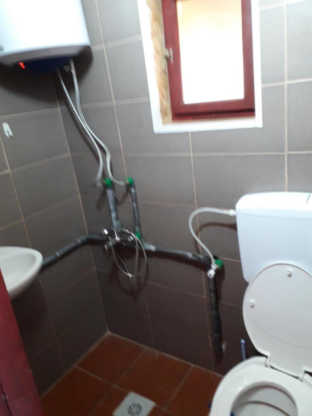 IMANJE JELEN view 5