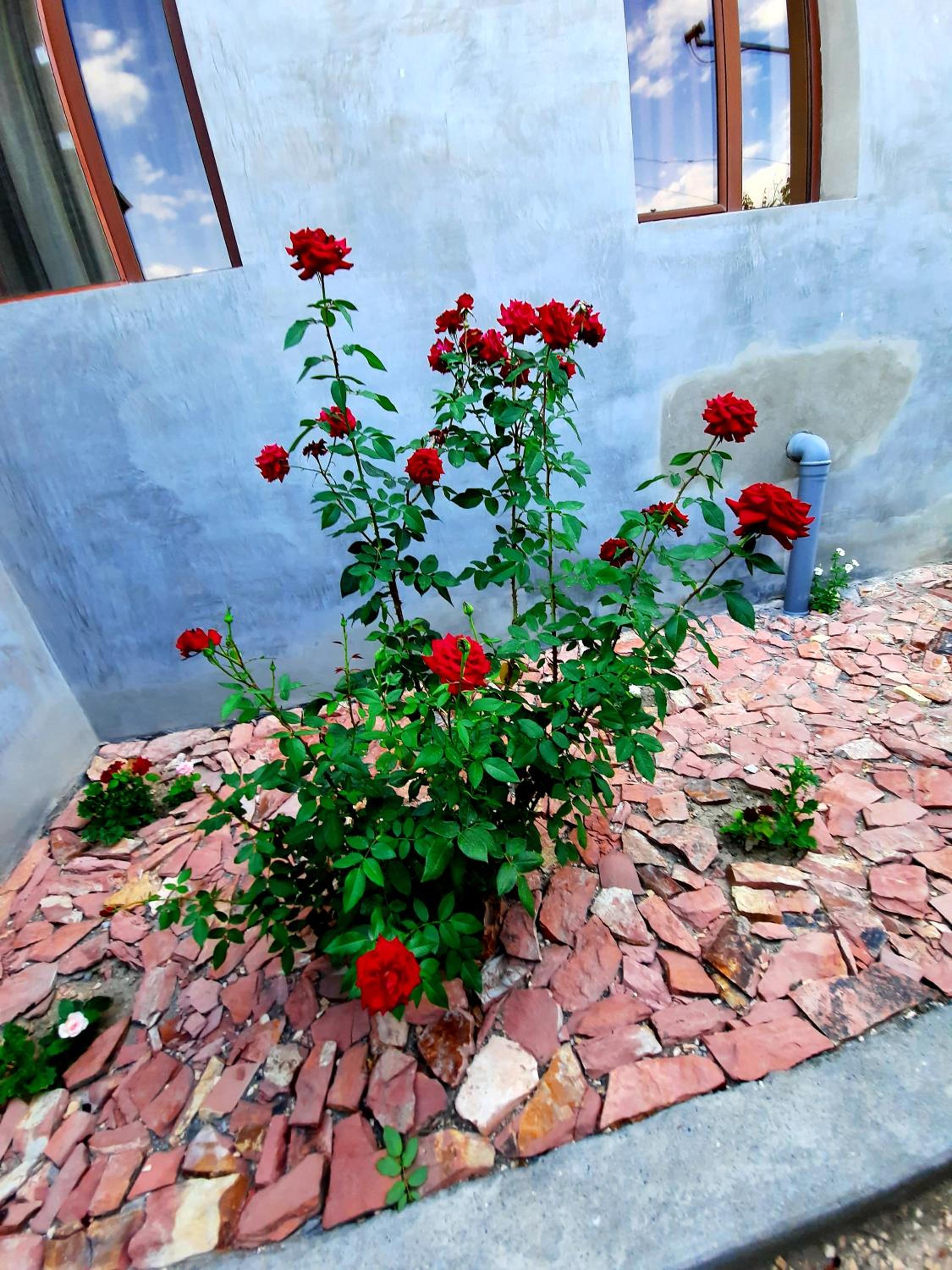 Ararat B&B