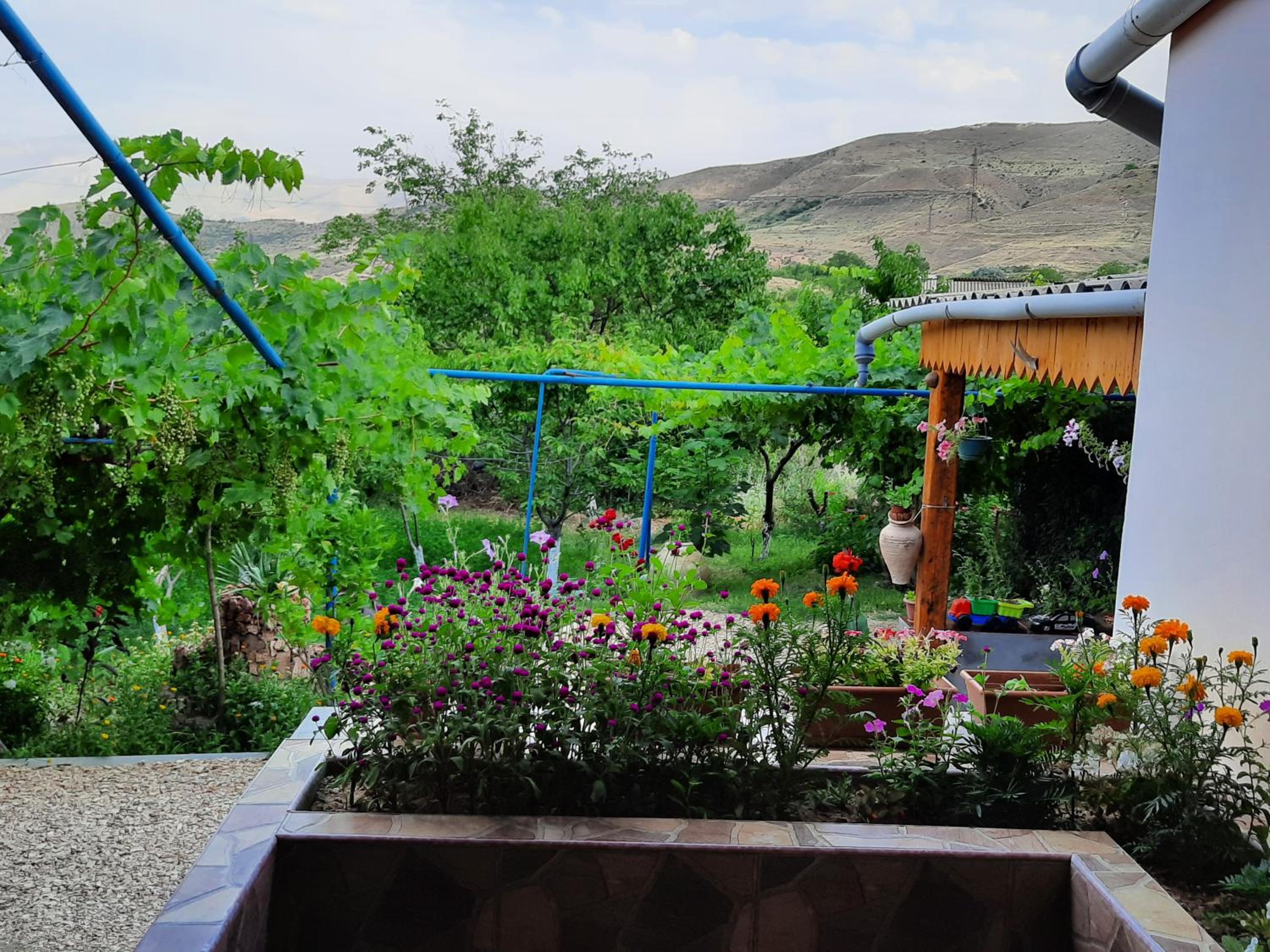 Ararat B&B