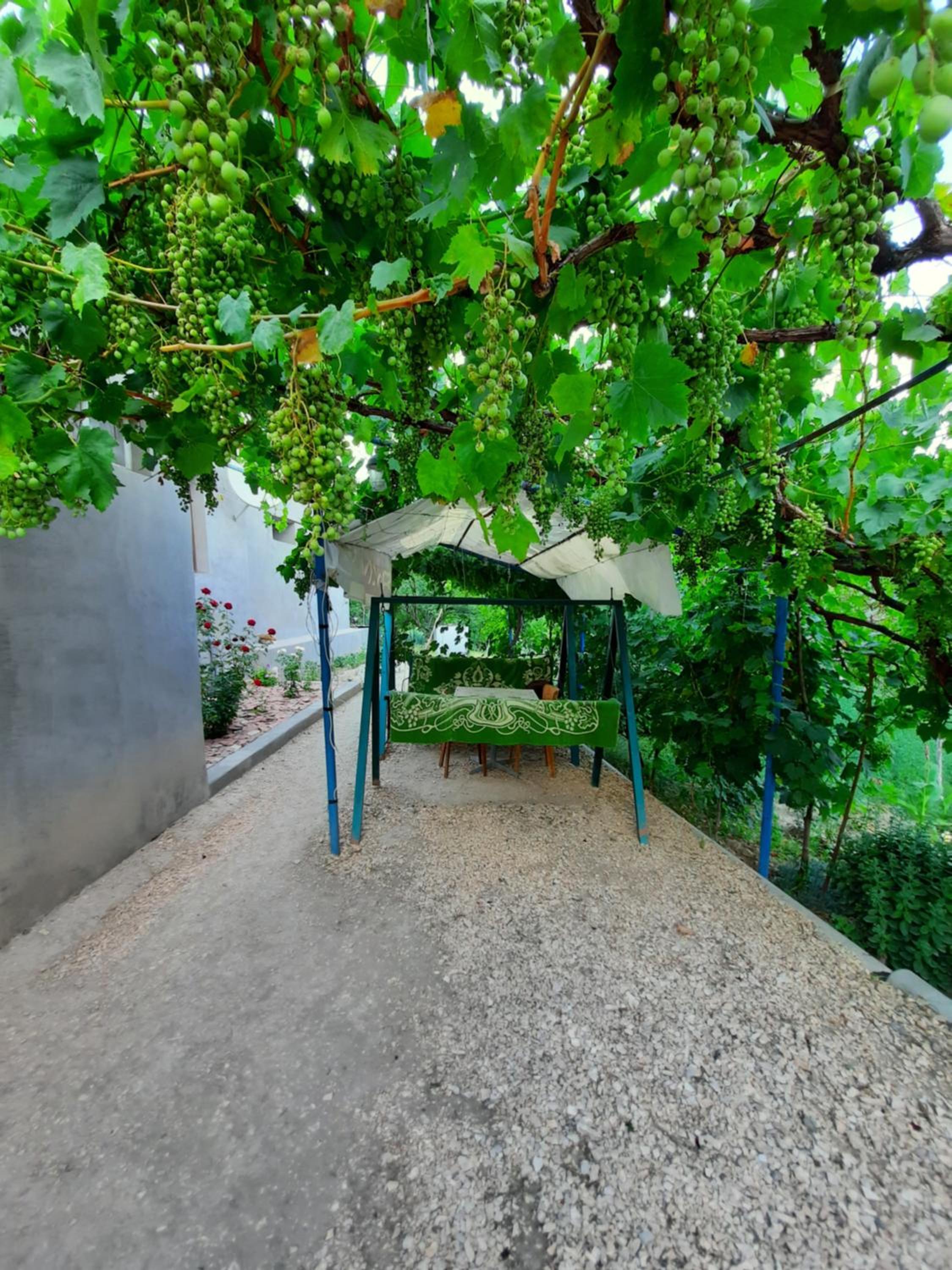 Ararat B&B