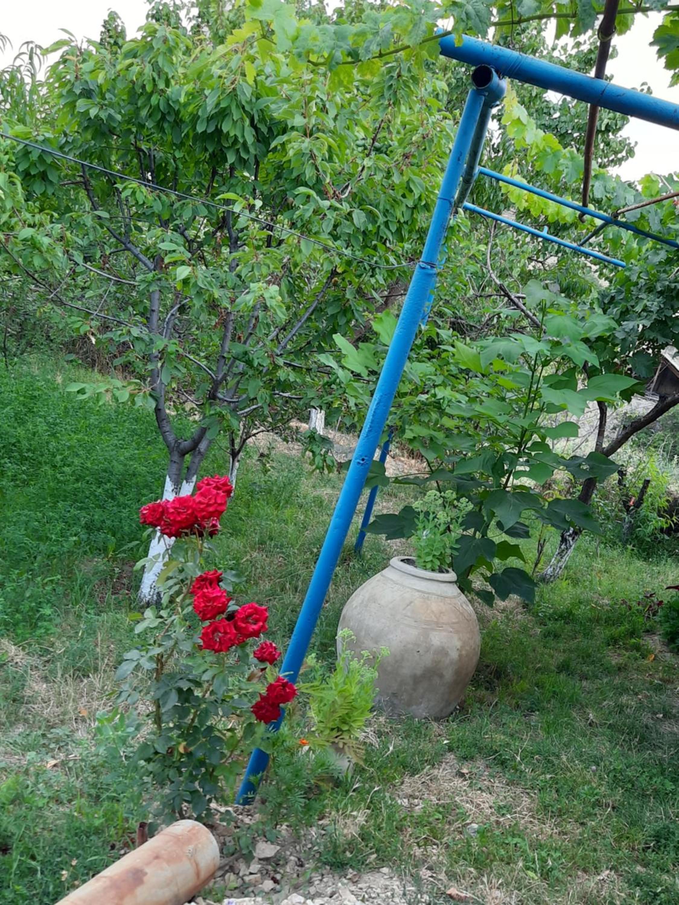Ararat B&B