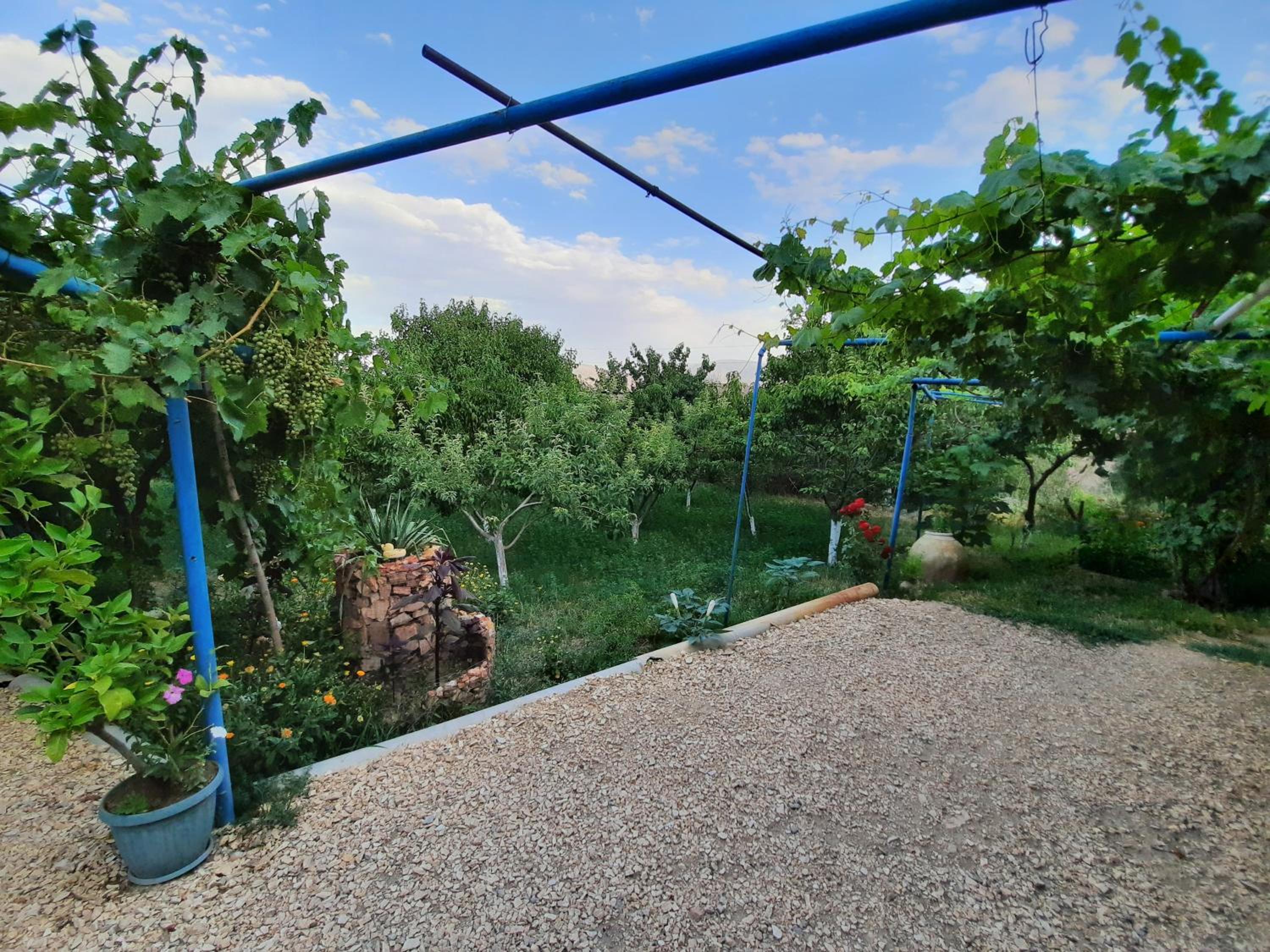 Ararat B&B