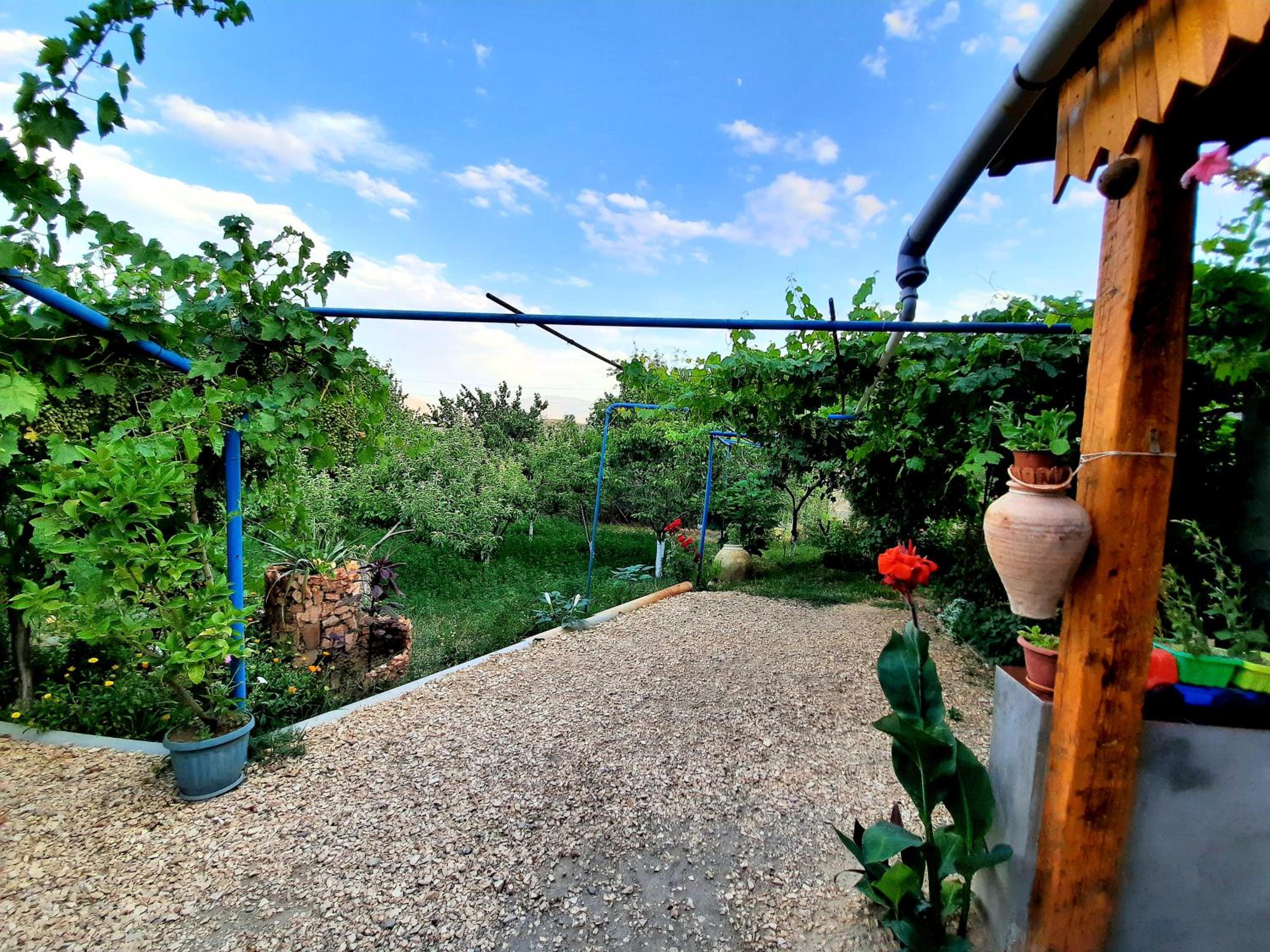 Ararat B&B