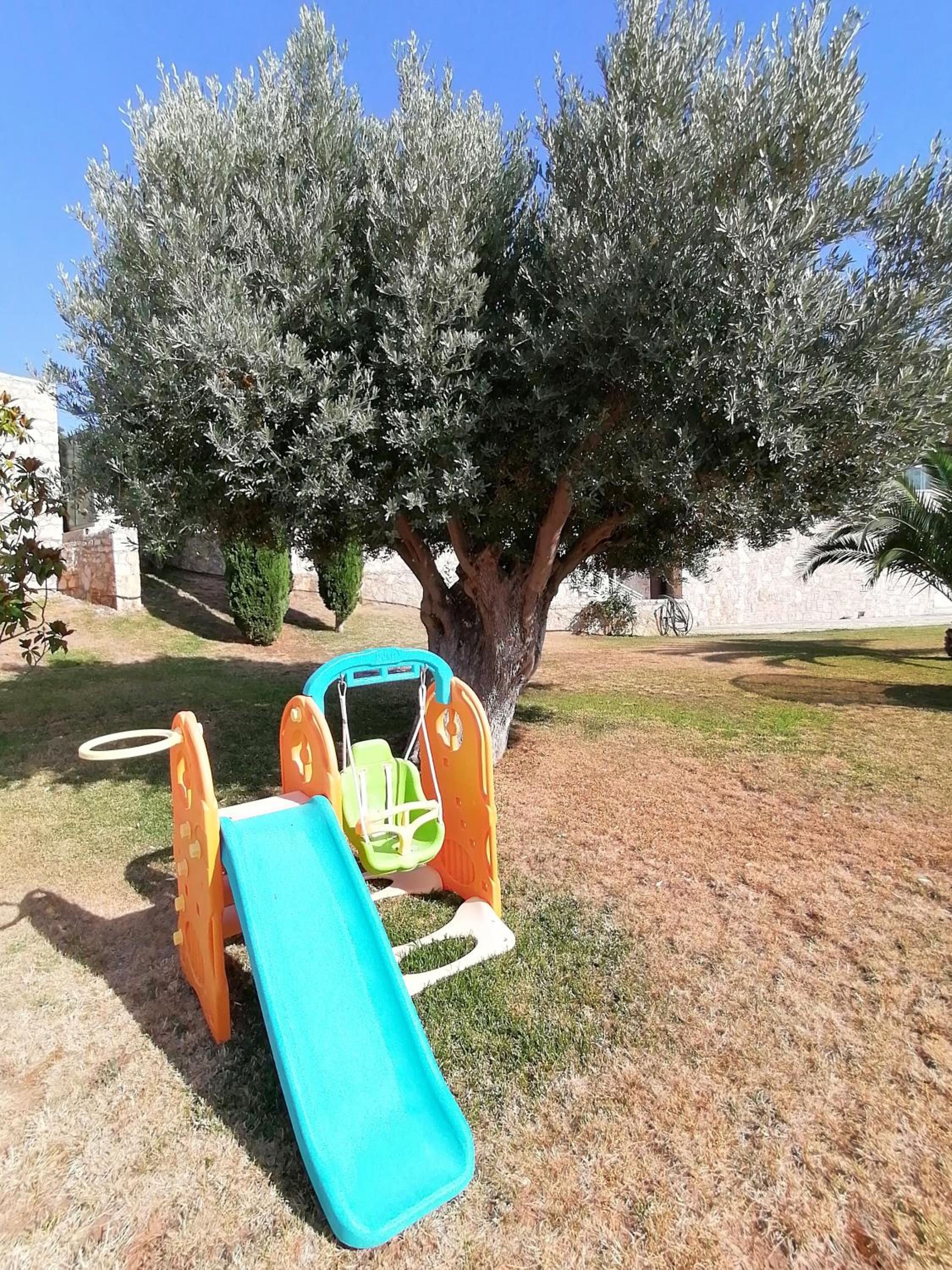 Photo 36