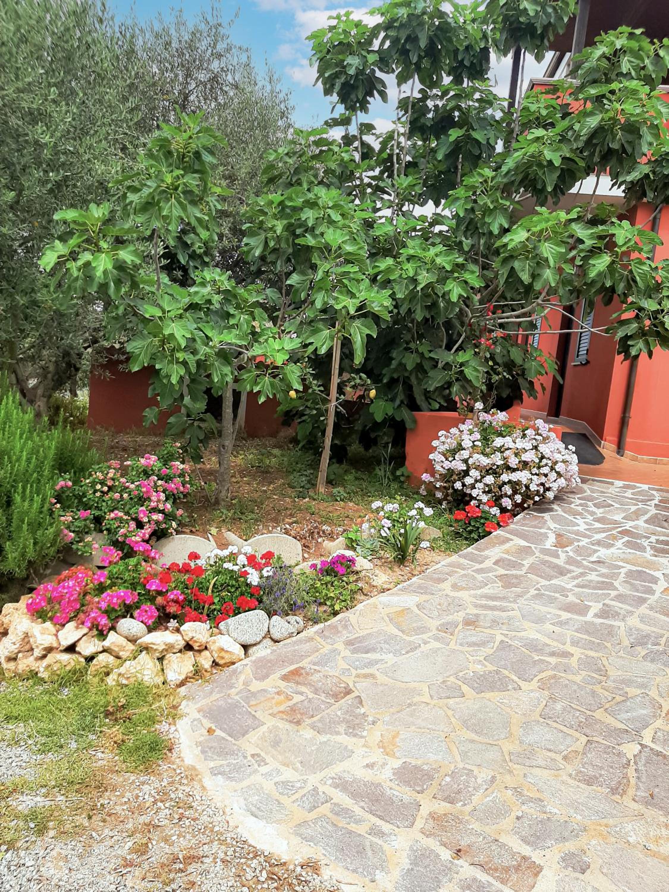 Photo 32