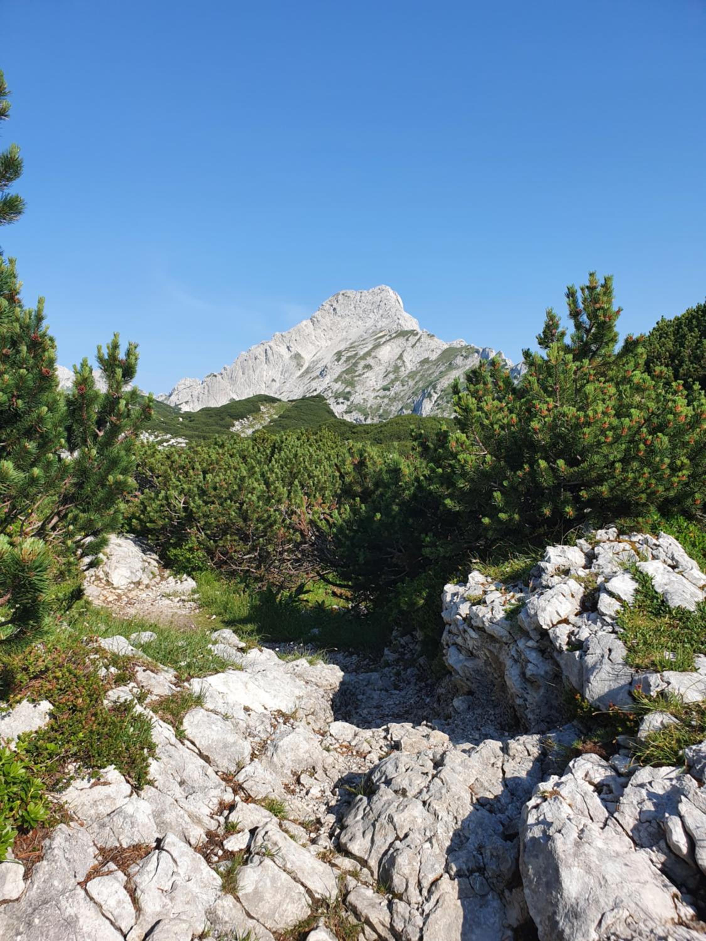 Photo 23