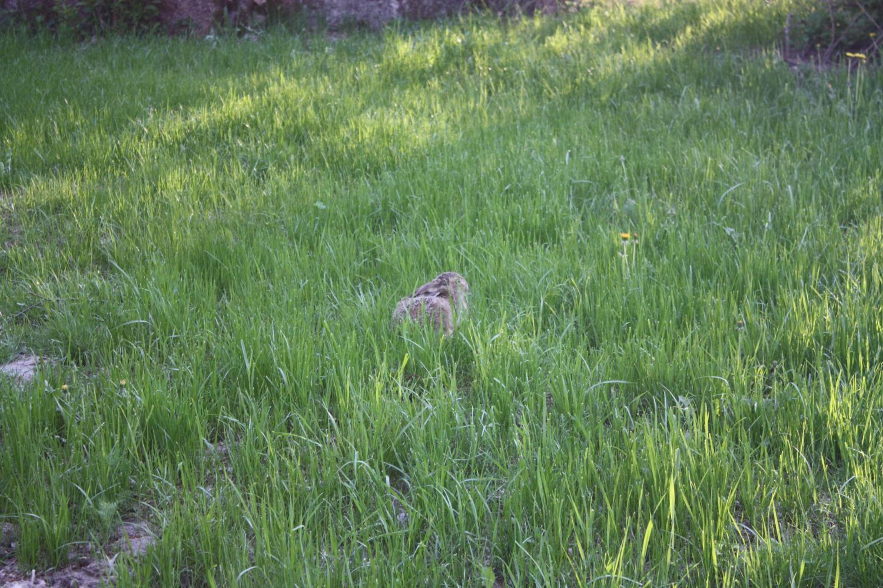 Photo 32