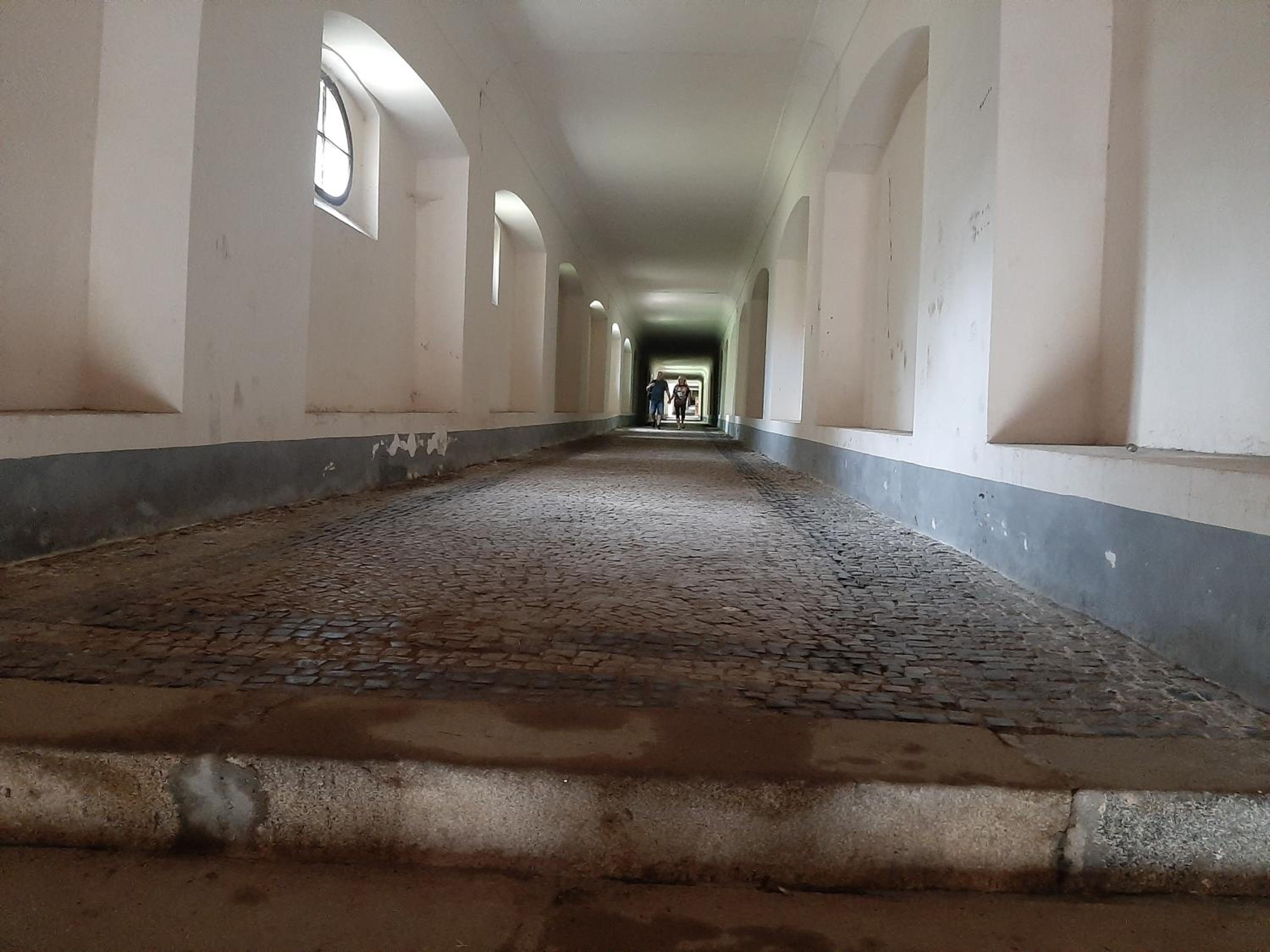 Apartmán Dvořák 194 pod Svatou horou, photo 11