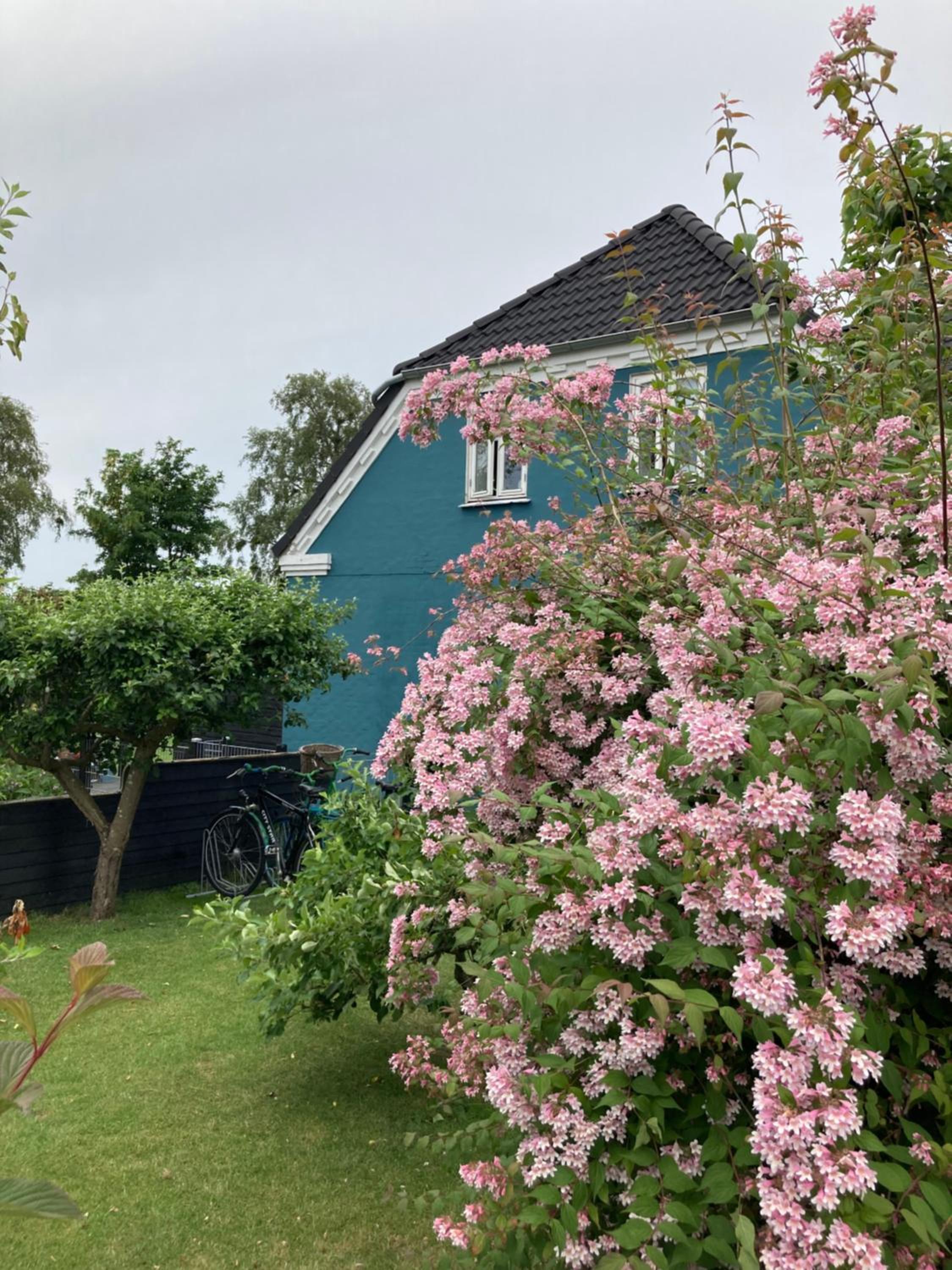 Det blågrønne Hus