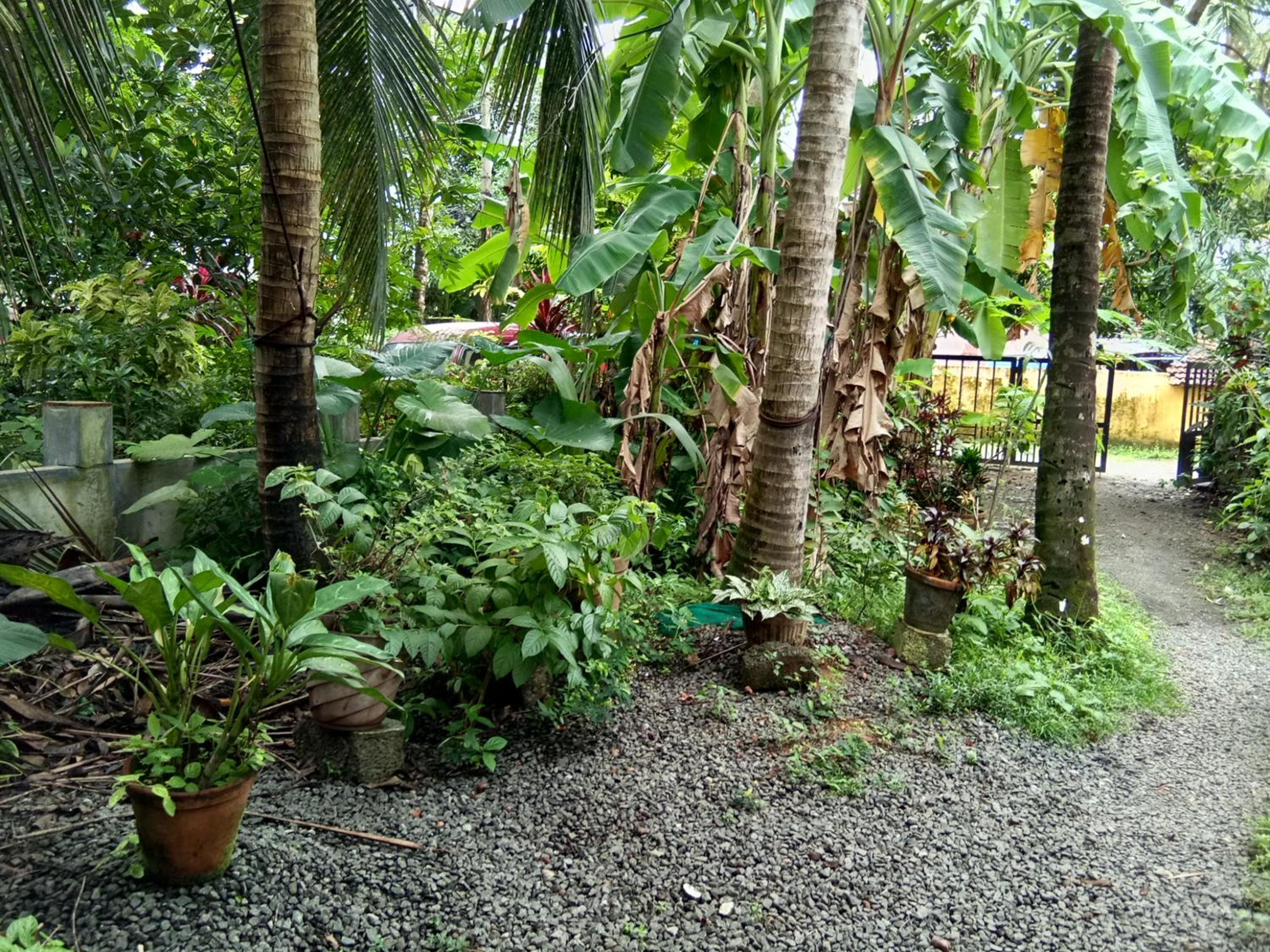 Coconut Grove view 5