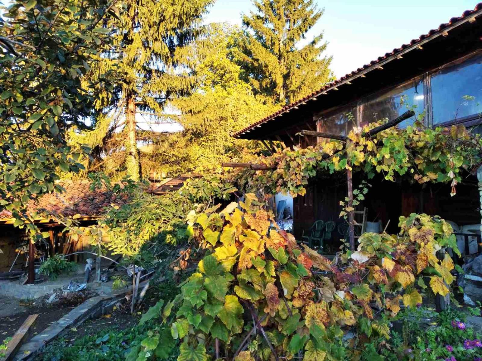 Momka's house