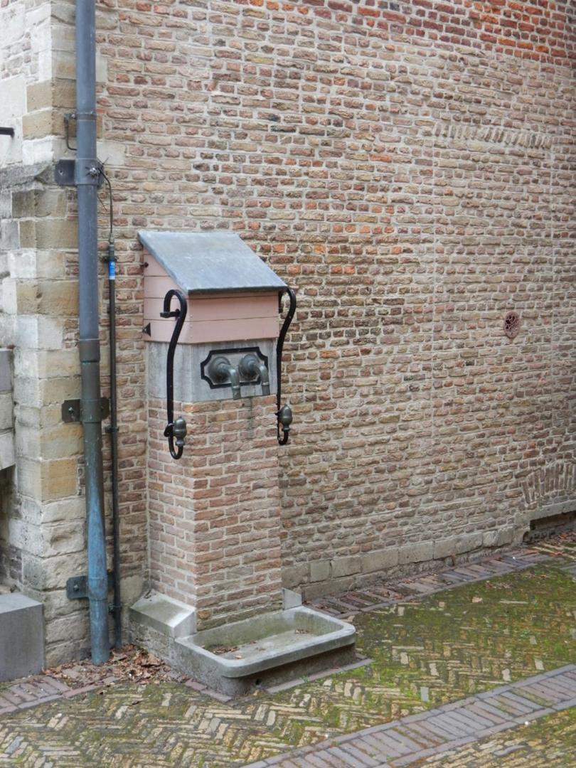 Photo 43