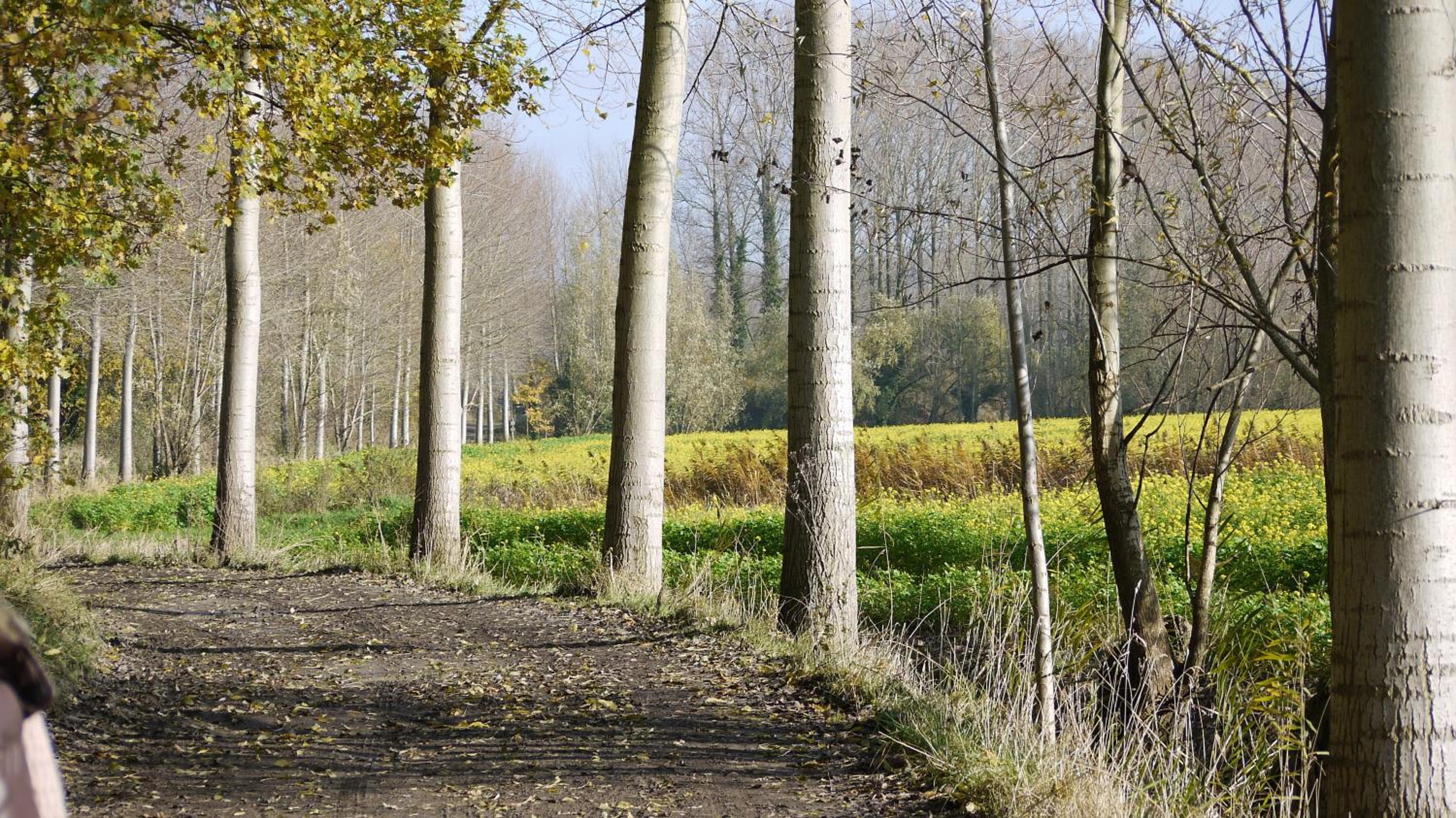 B&B Hemel & Haard