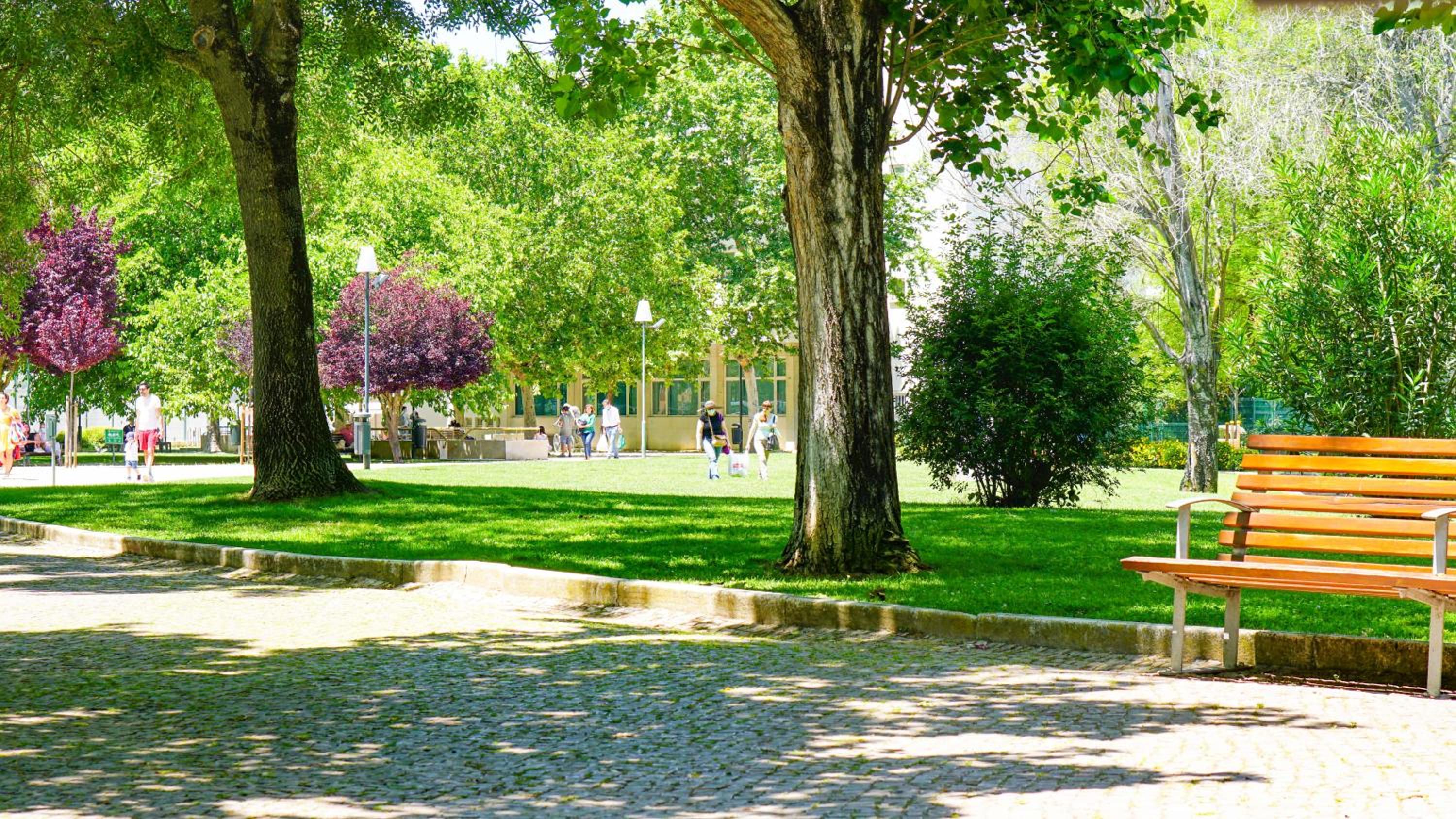 Photo 32
