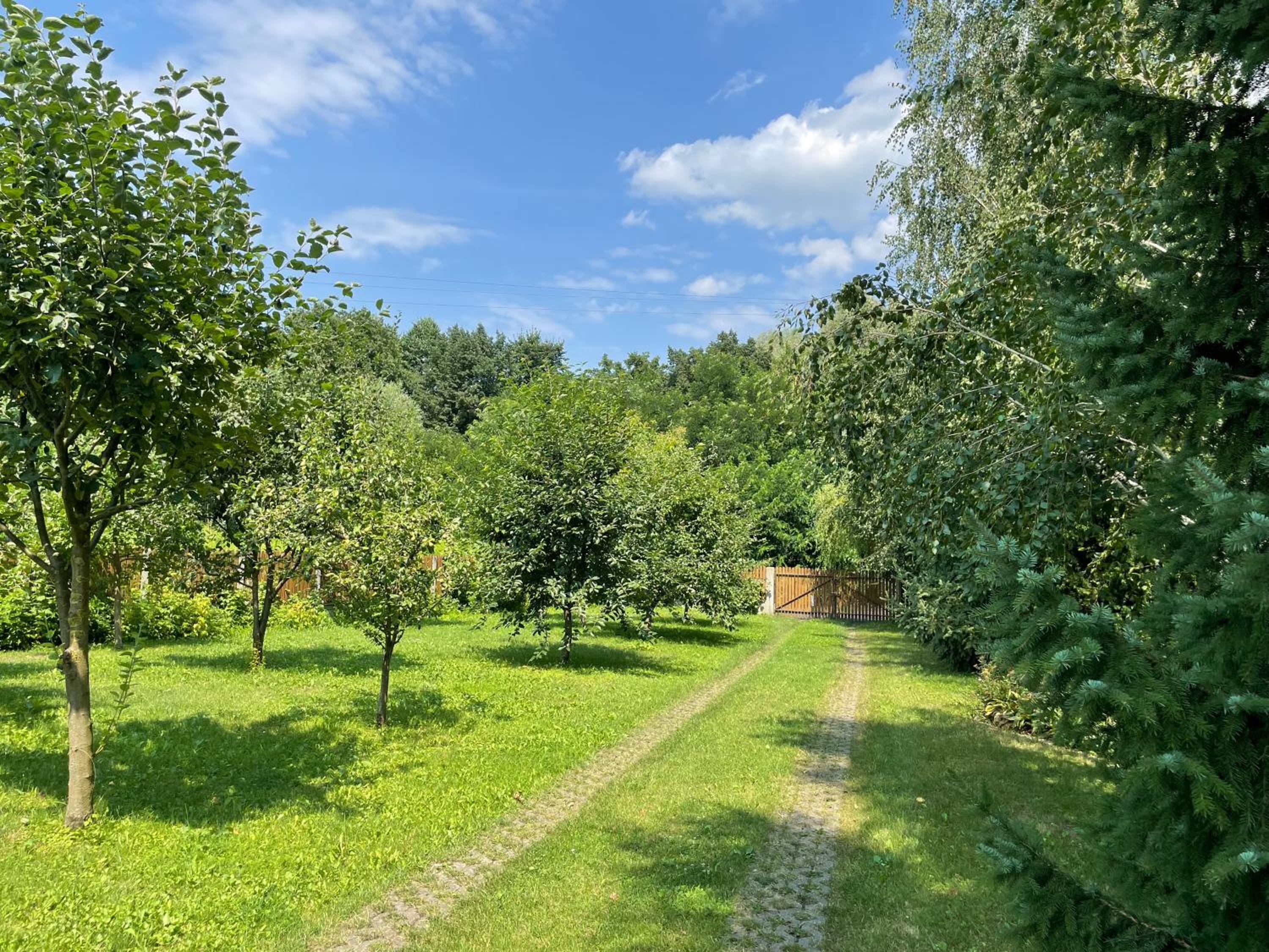 Janówka, photo 28