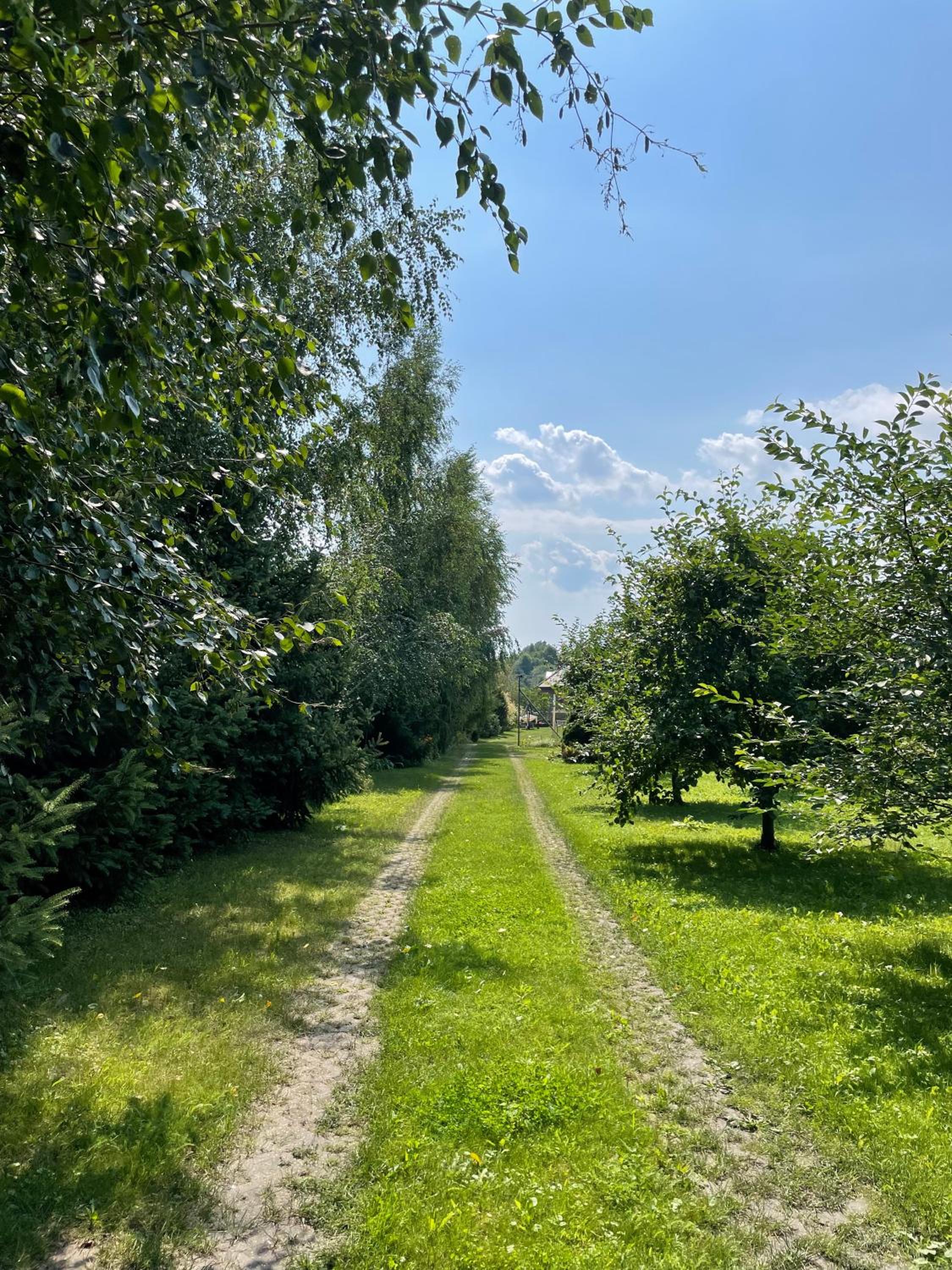 Janówka, photo 25