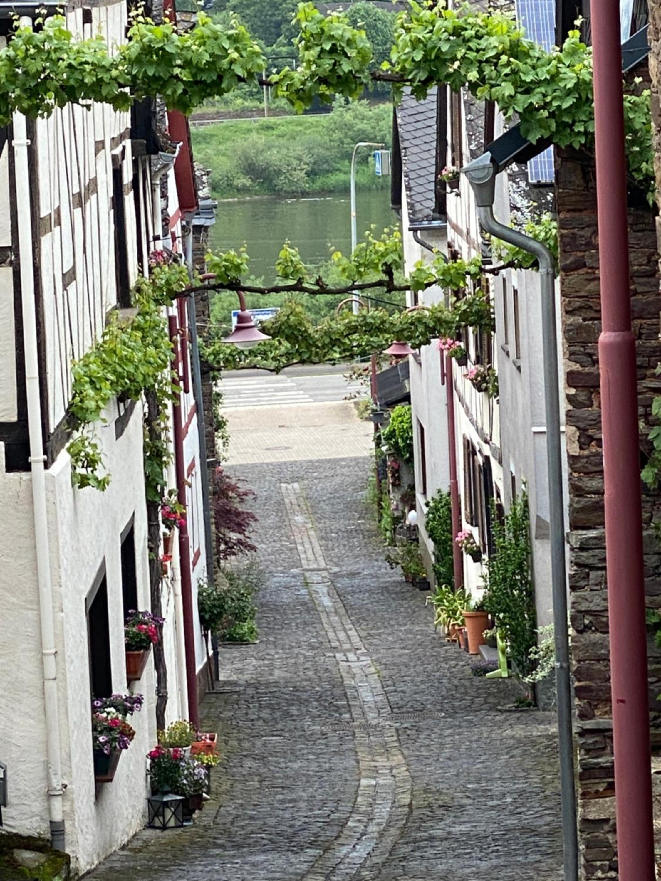 Ferienhaus am Baybach in Burgen an der Mosel