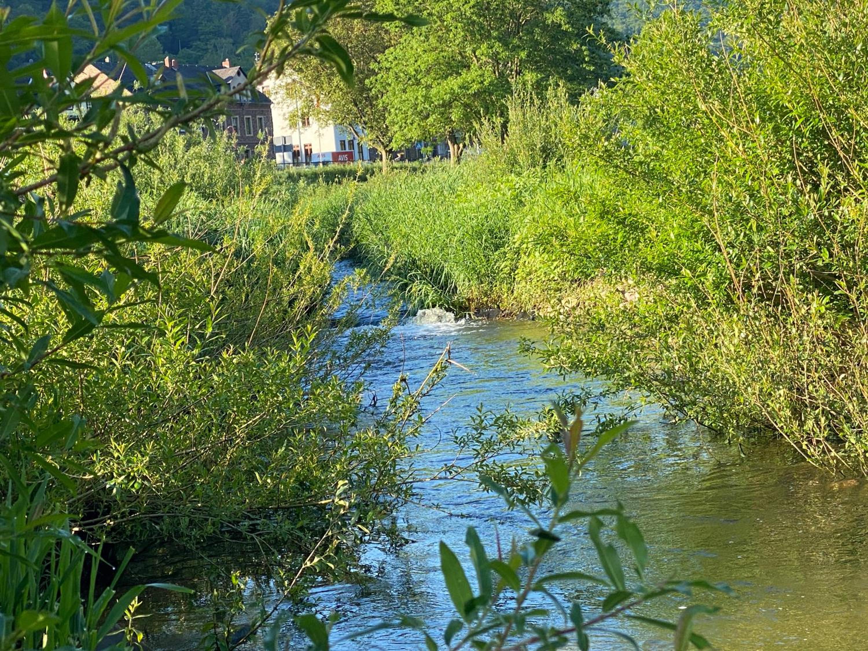 Ferienhaus am Baybach in Burgen an der Mosel