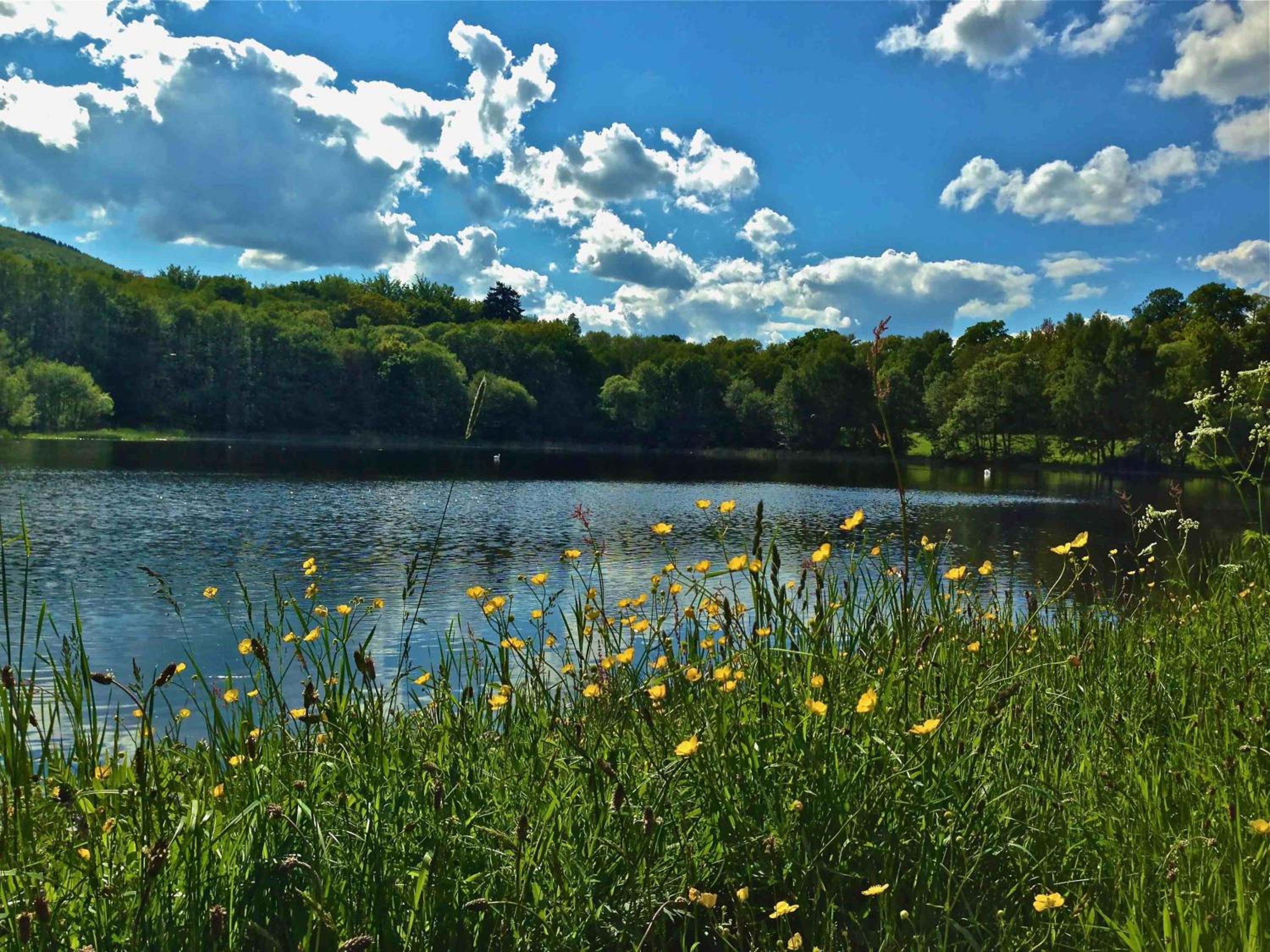 Kunstpark Reinhardsbrunn
