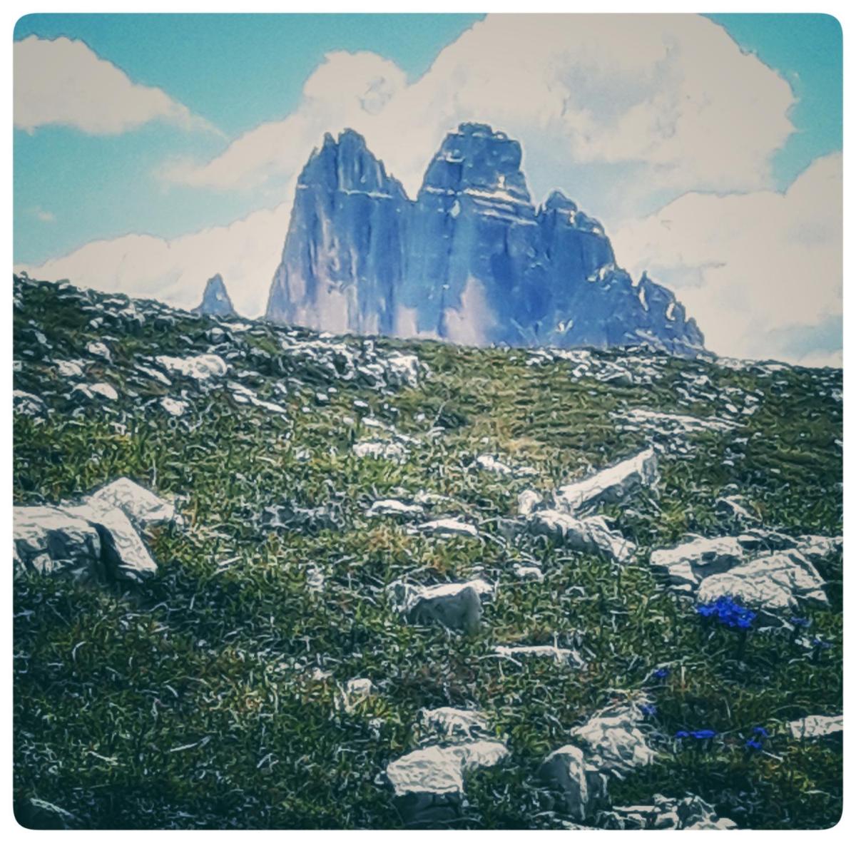 Photo 24