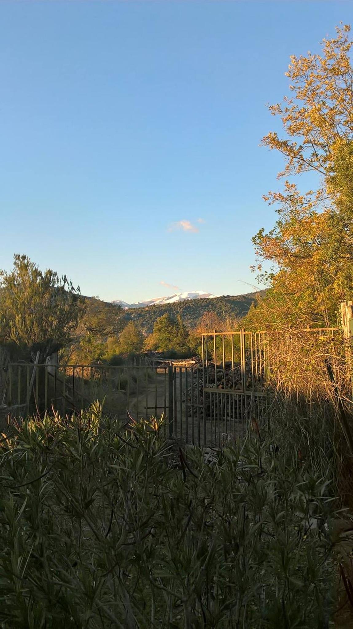 La casa nel bosco view 5