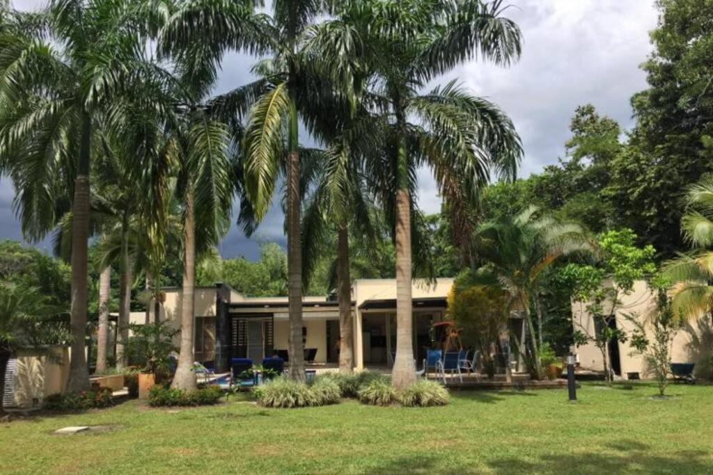 Villa Tete - Rest House -Pool view 2