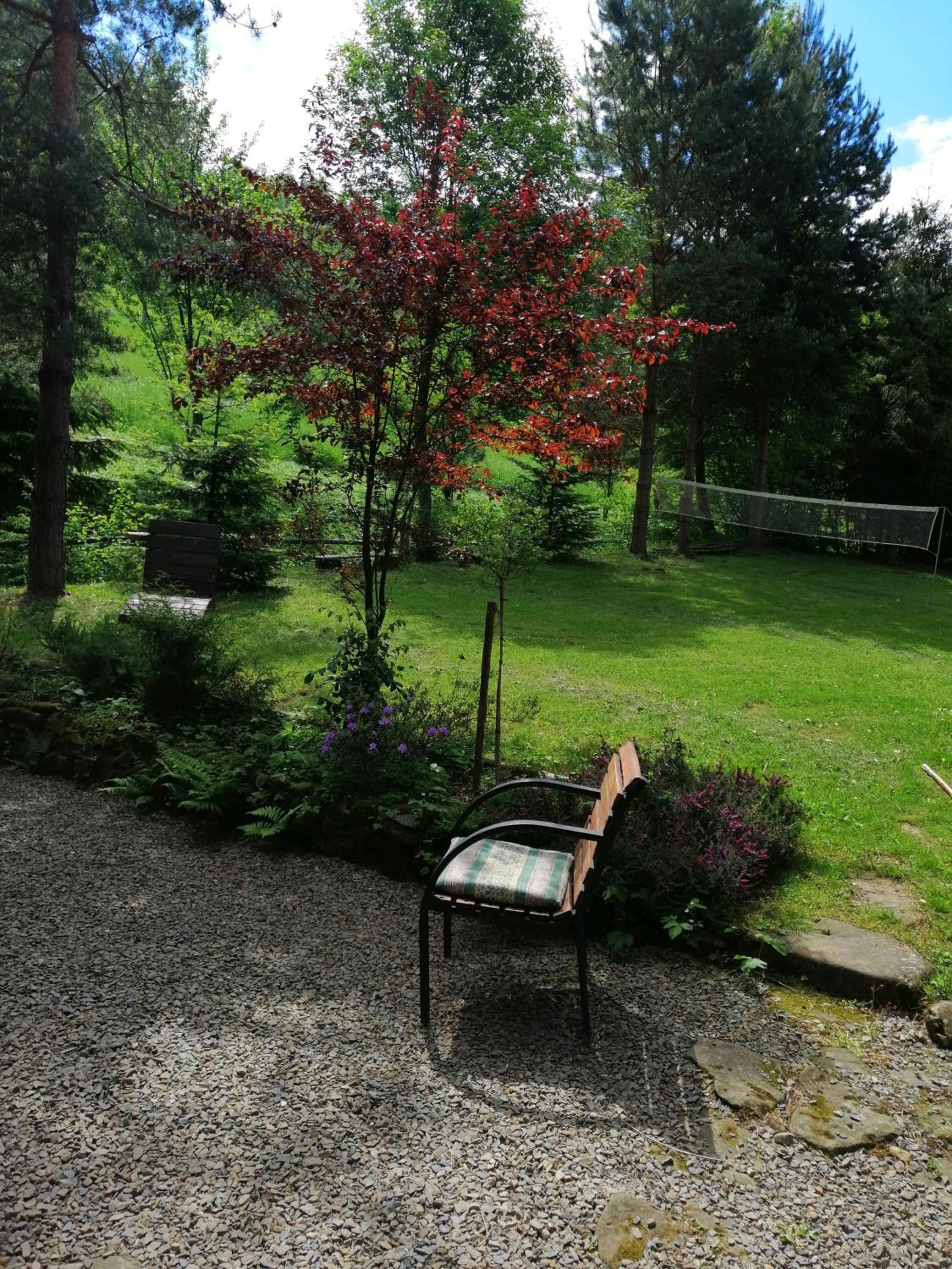 Photo 47