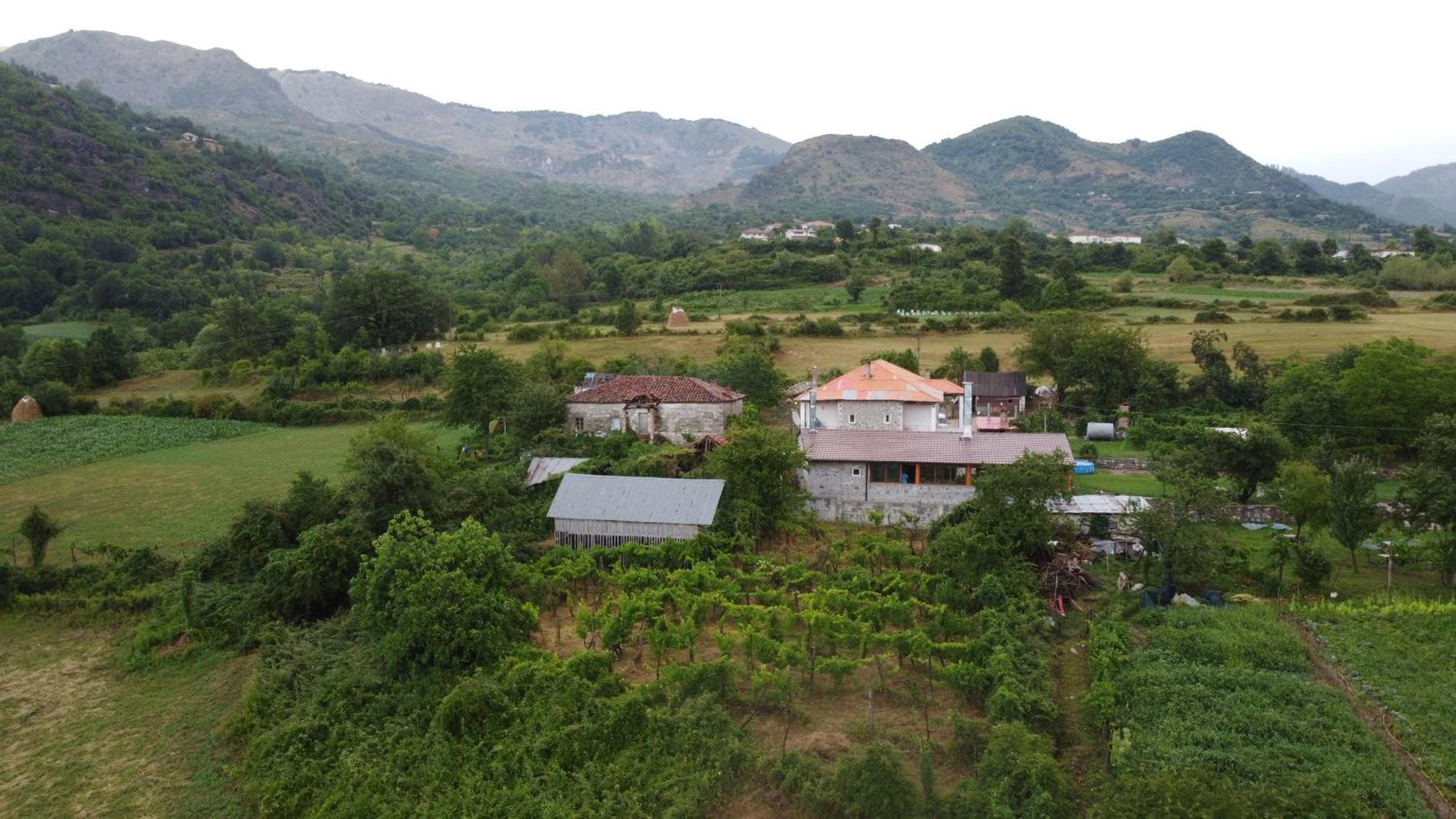 VILA DISHA