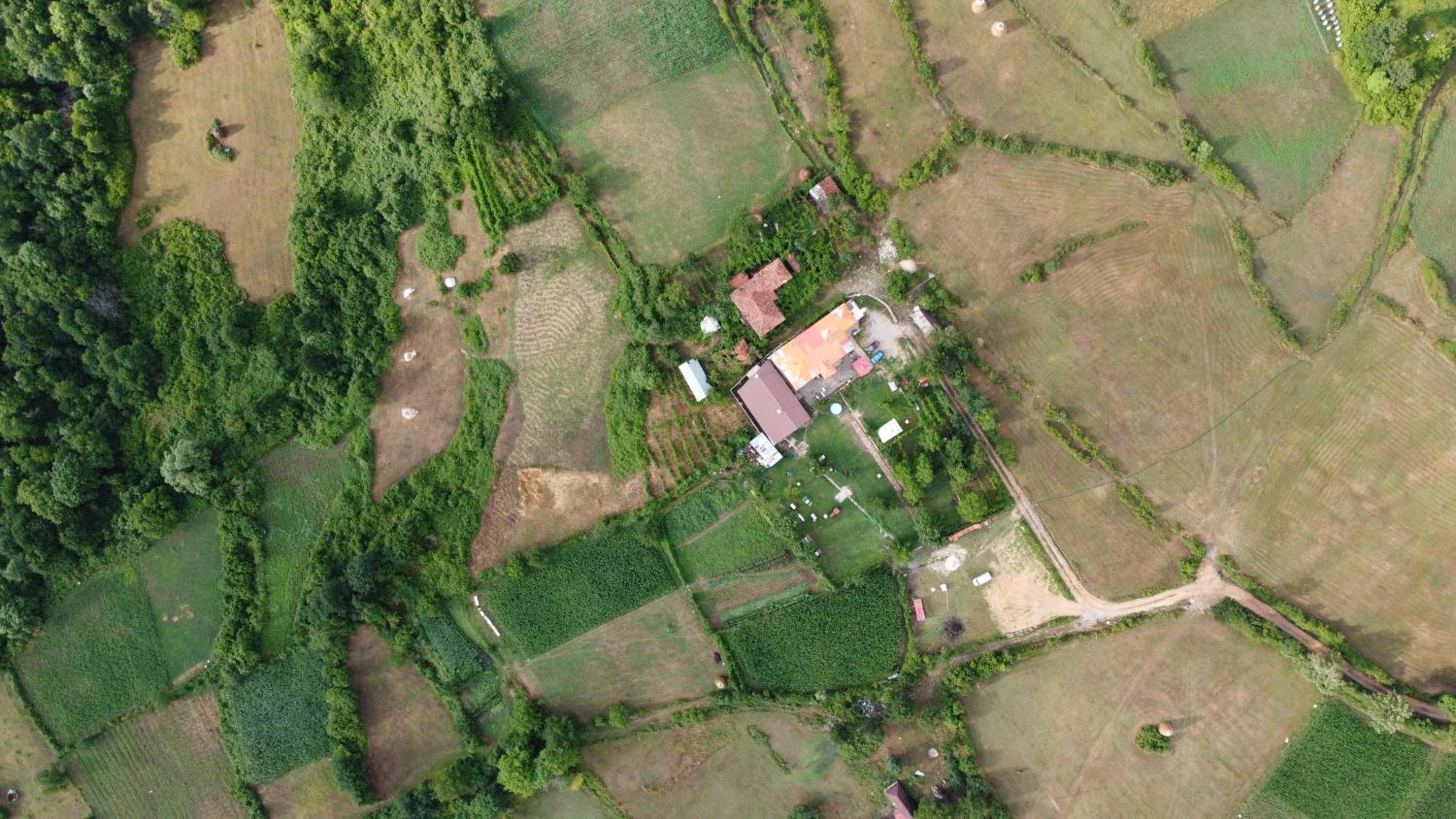 VILA DISHA