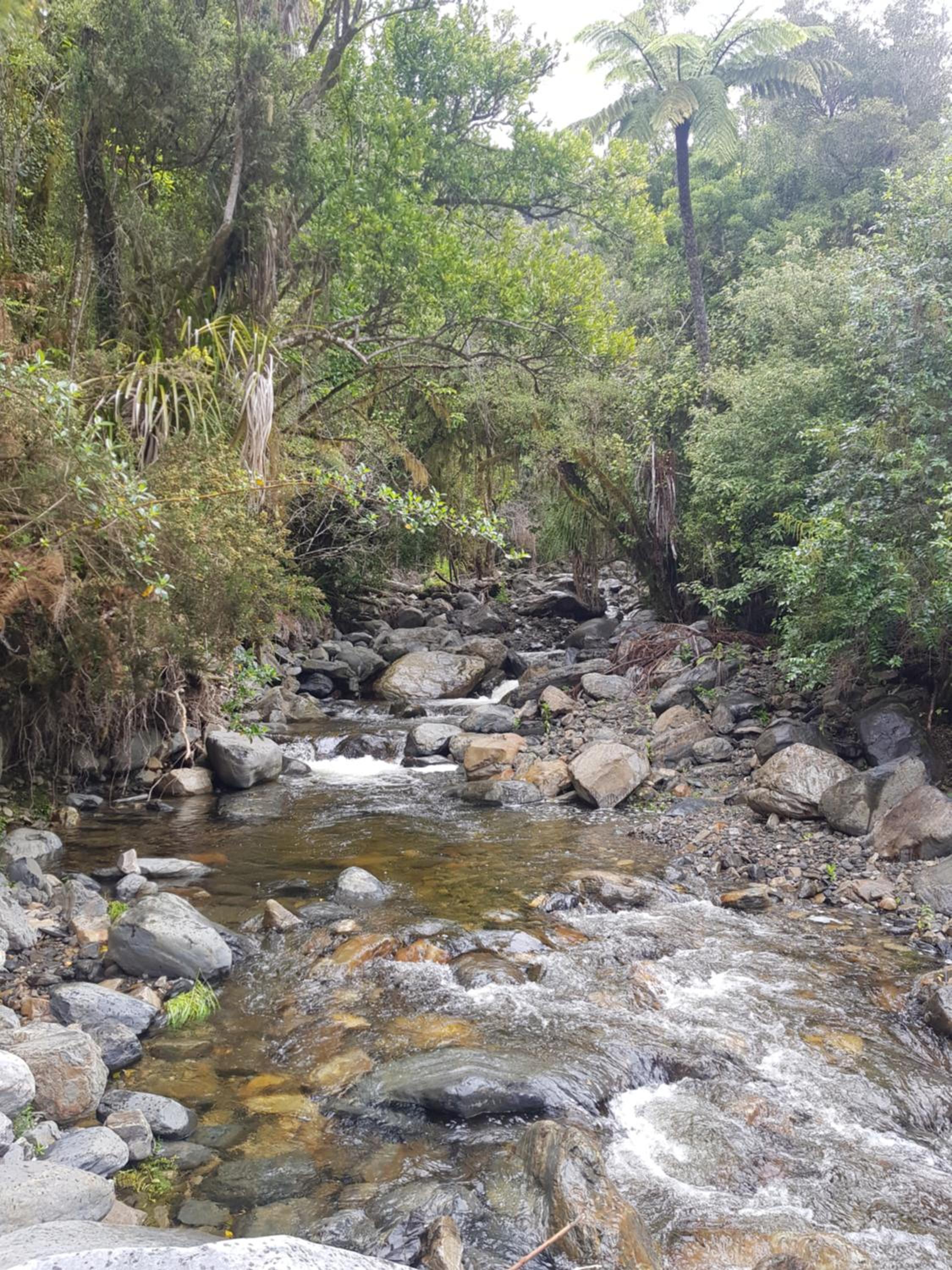 Photo 19