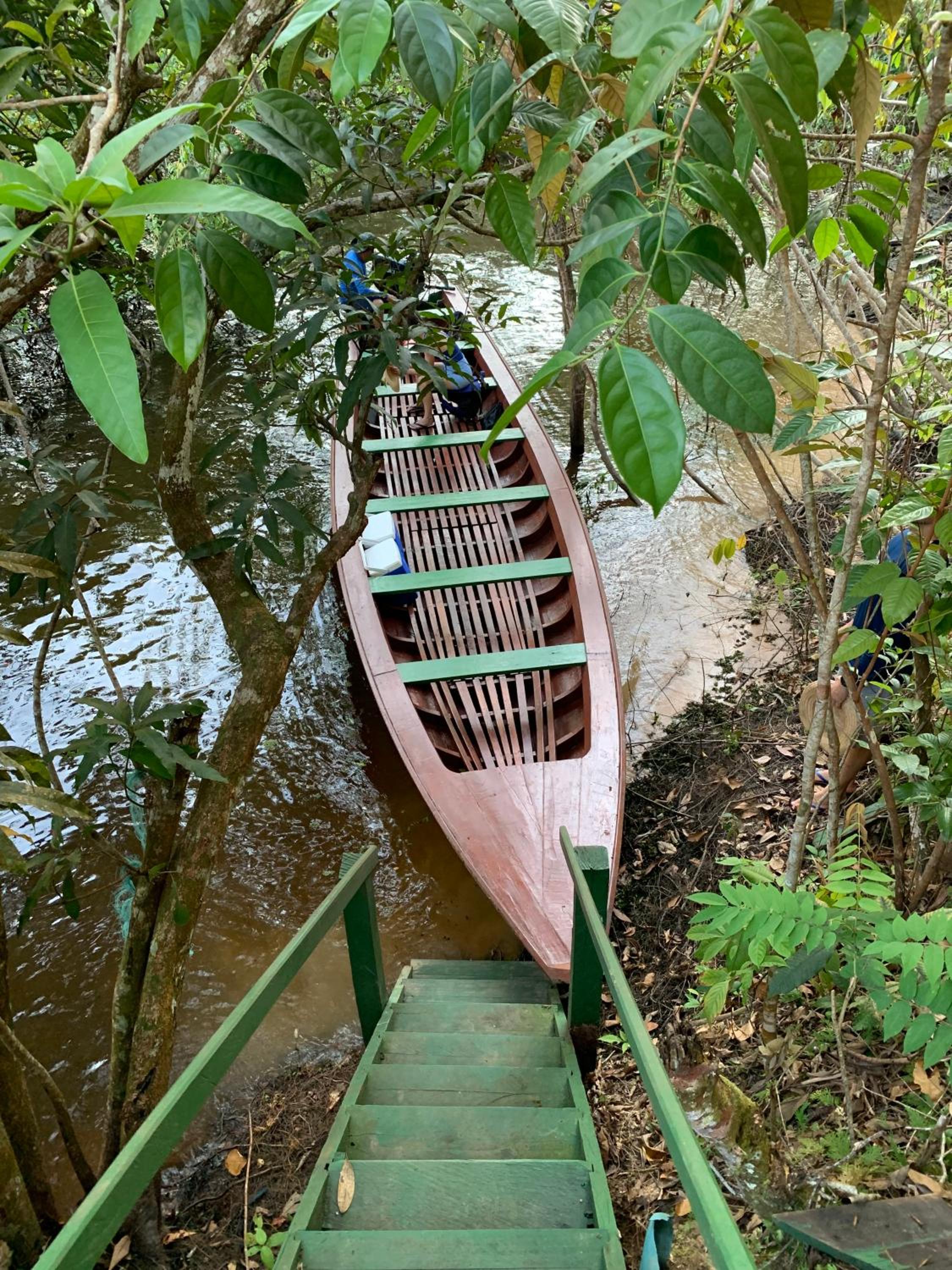 Alta Vista Amazon Lodge