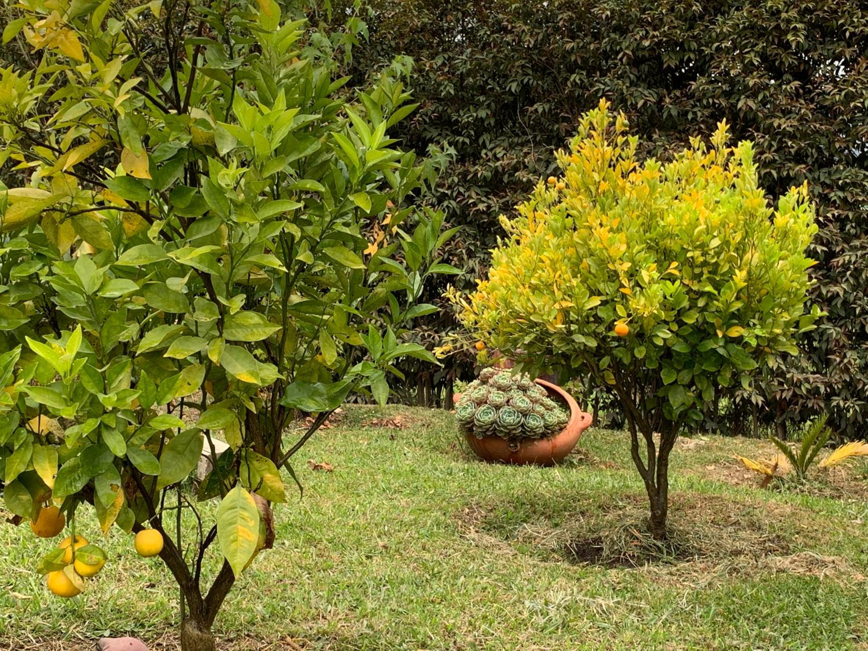 CASA CAMPESTRE VILLA SANTANA