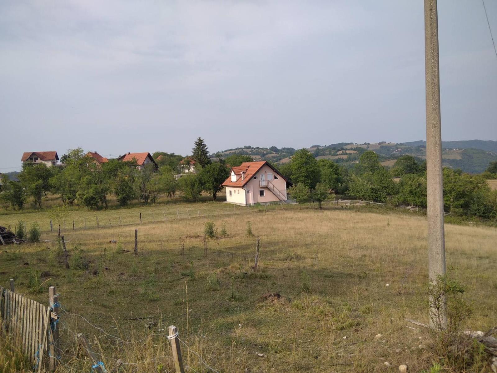 Photo 51