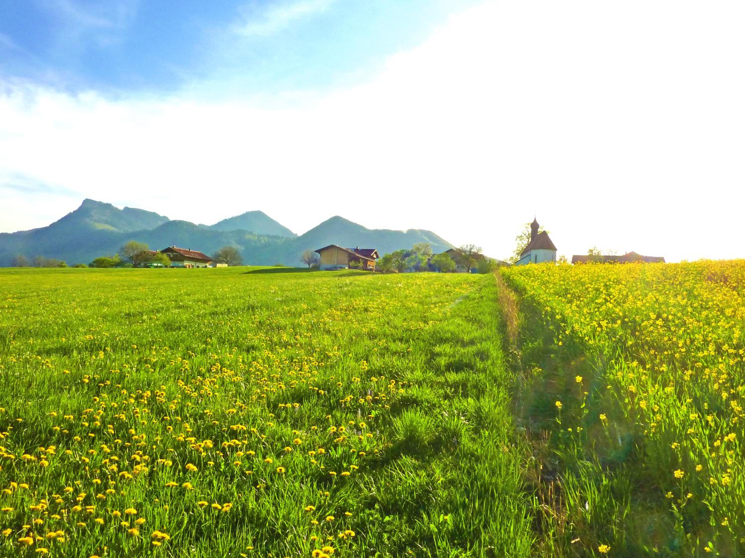 Ferienwohnungen Maurer Höhenberg