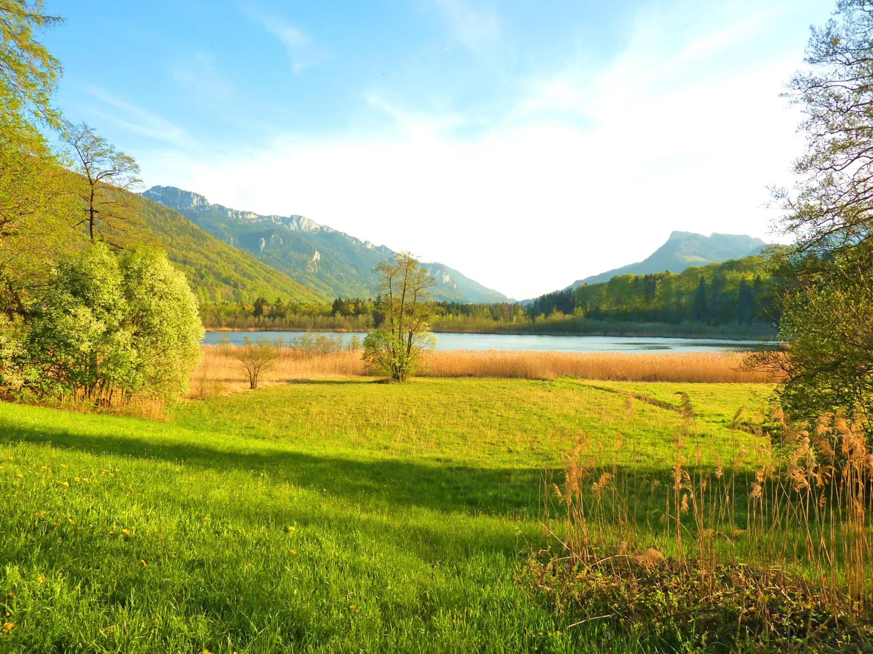 Ferienwohnungen Maurer Höhenberg