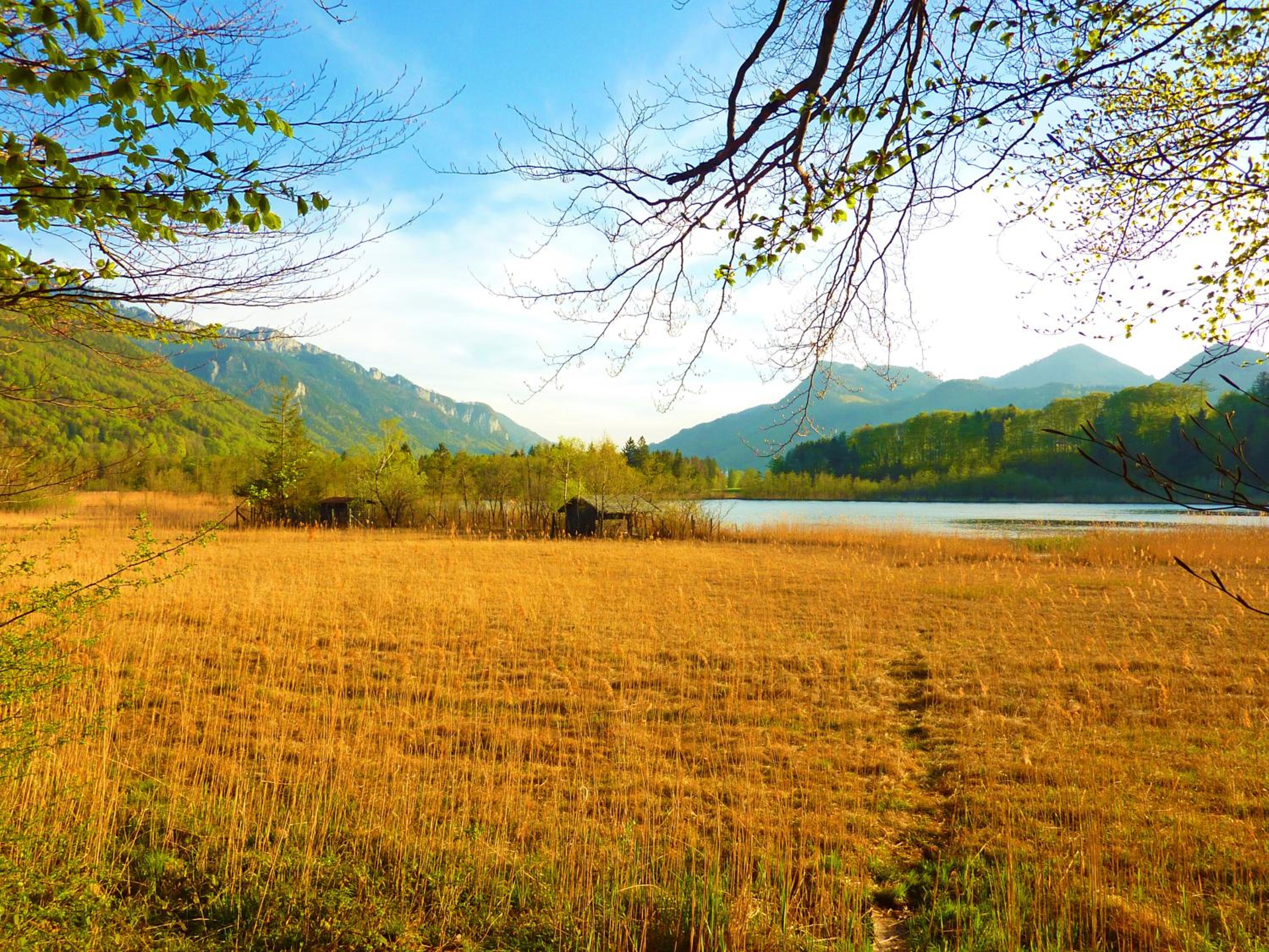 Ferienwohnungen Maurer Höhenberg