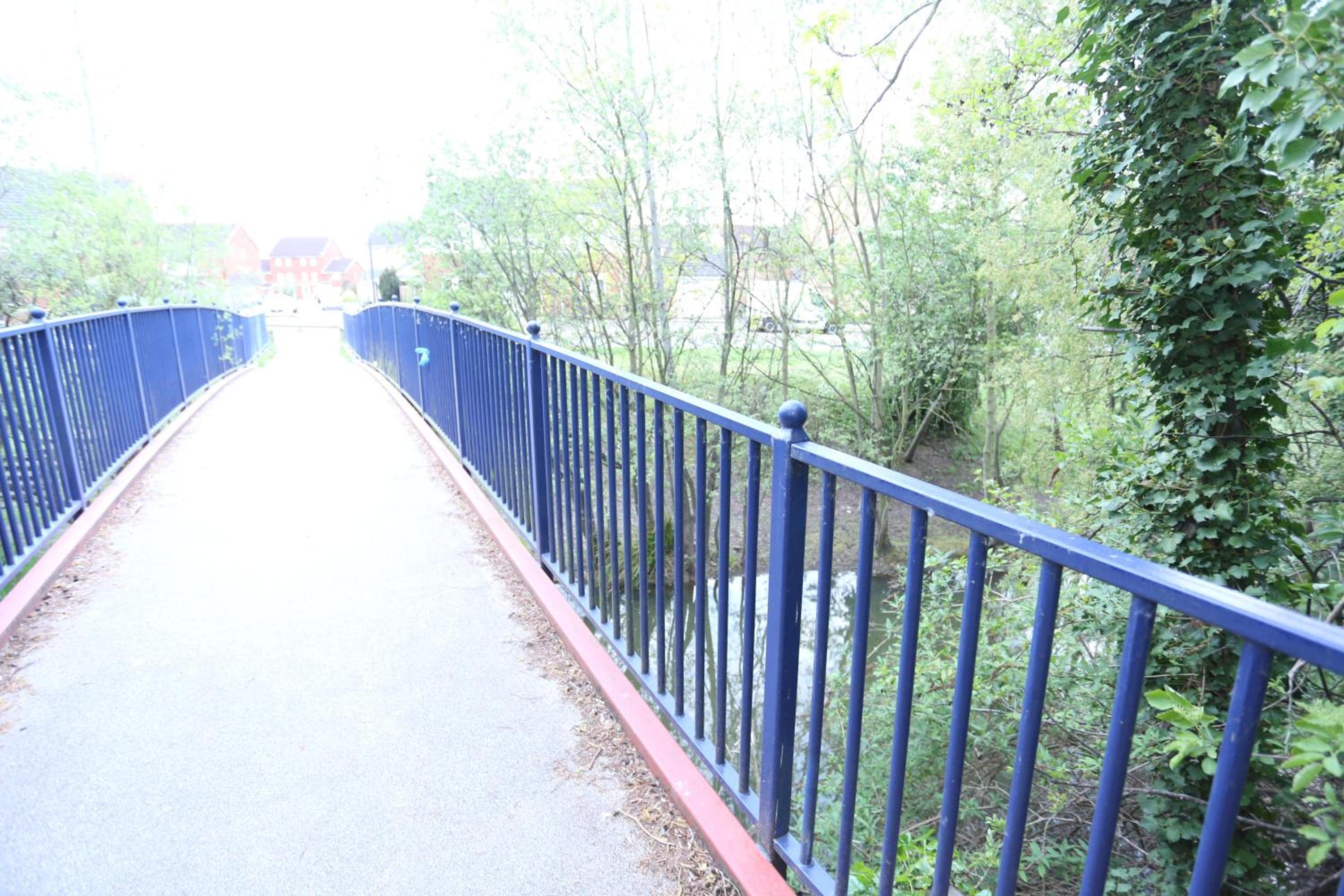 Photo 10