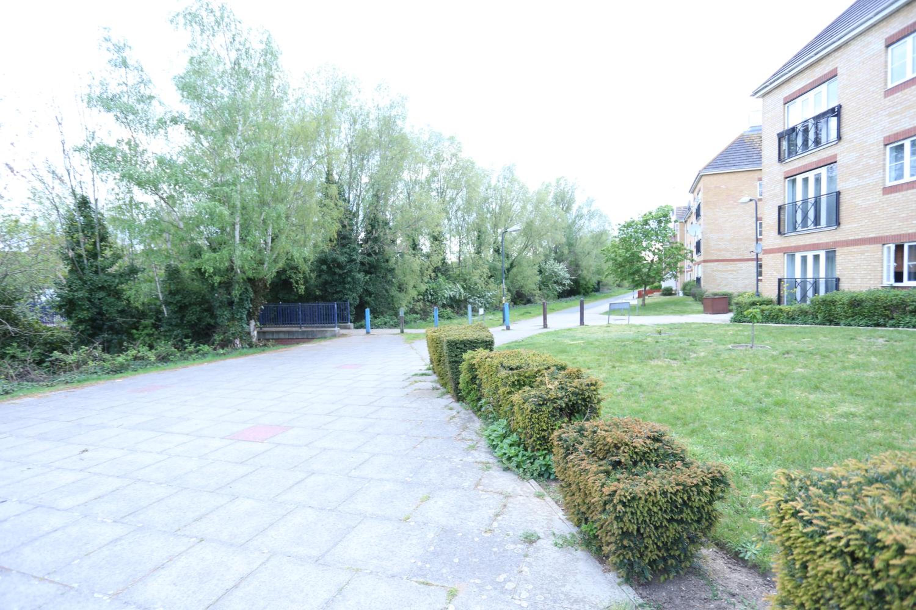 Photo 13