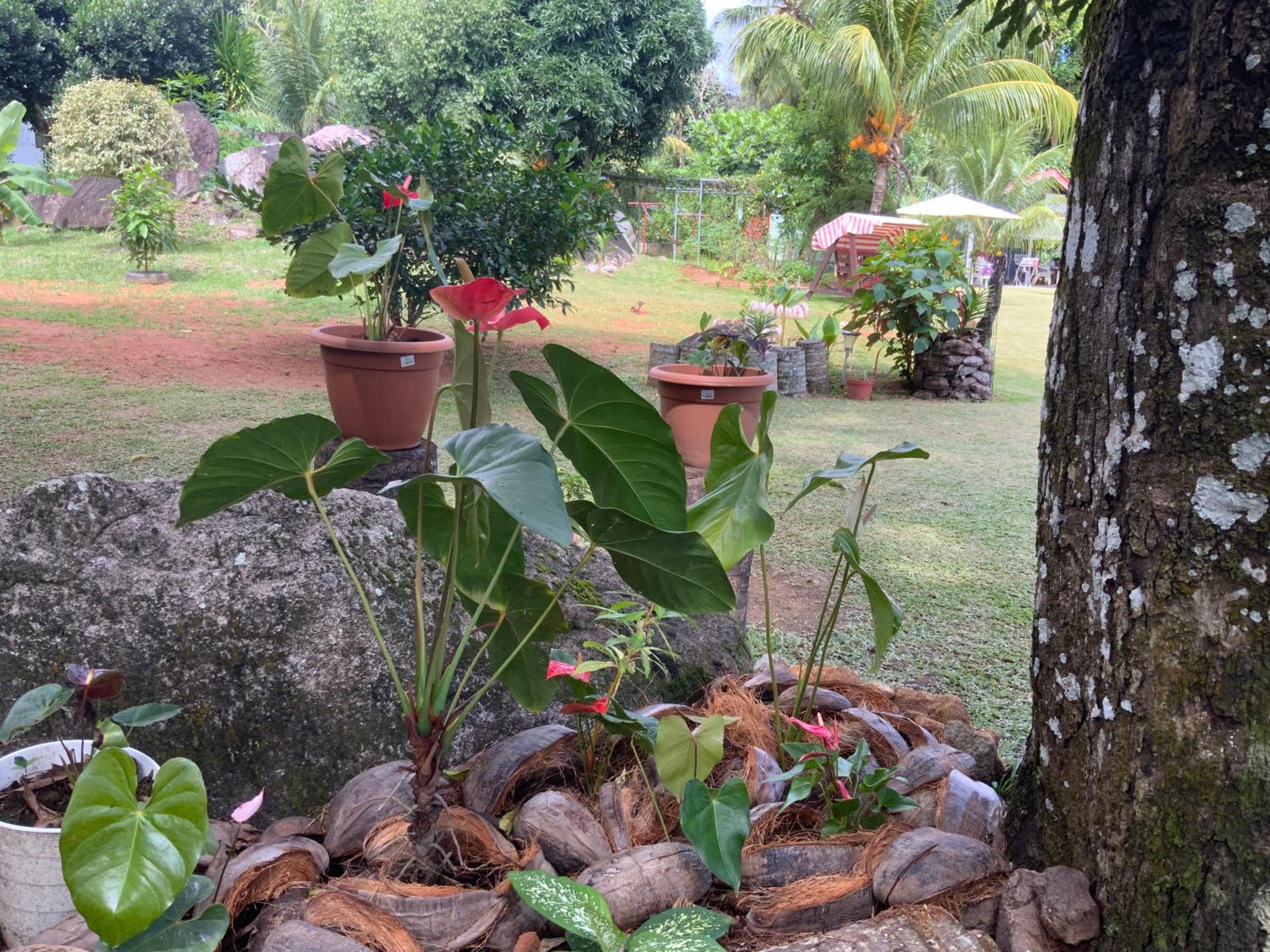 The Orchard Holiday Home