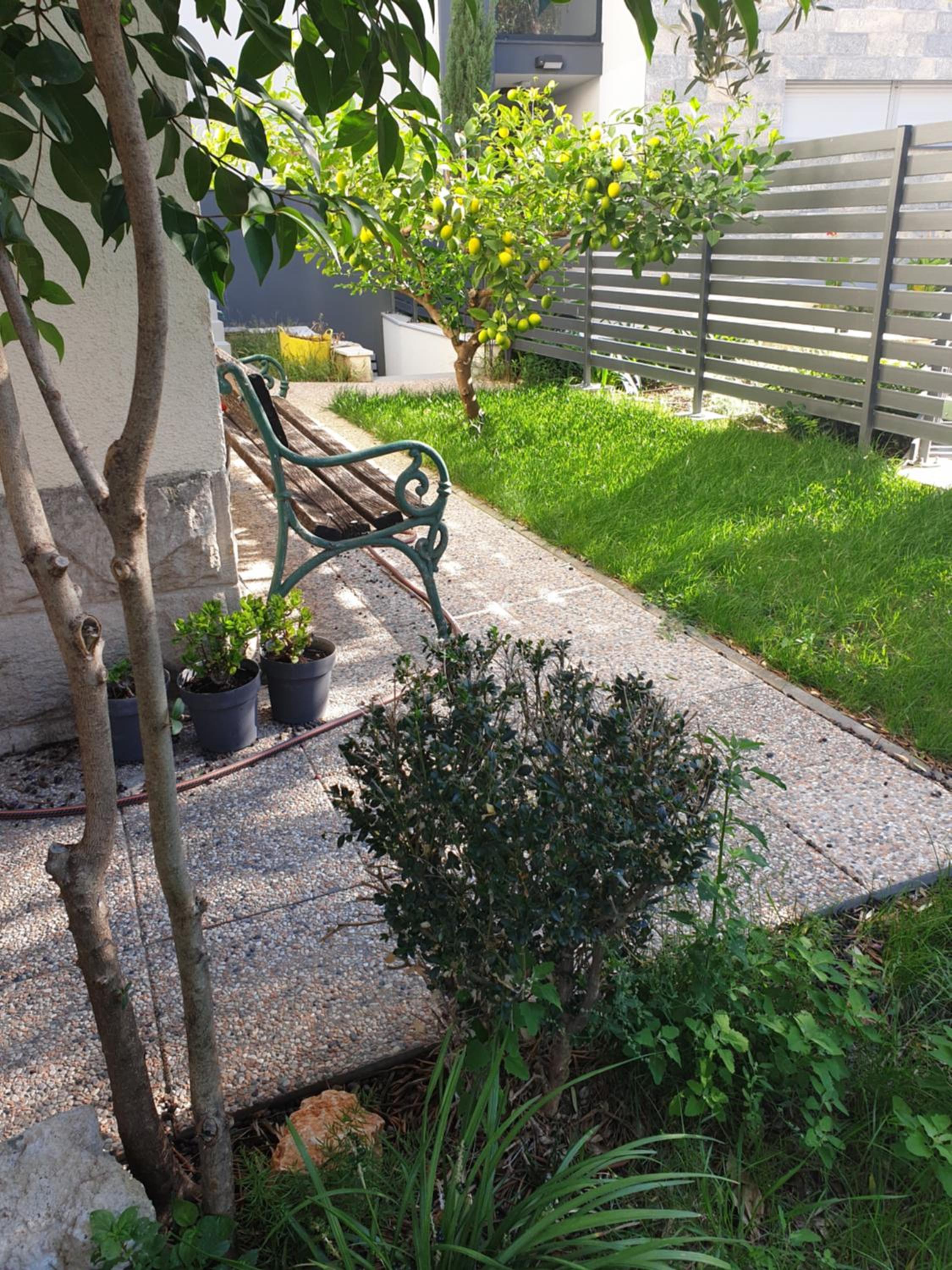 Photo 25