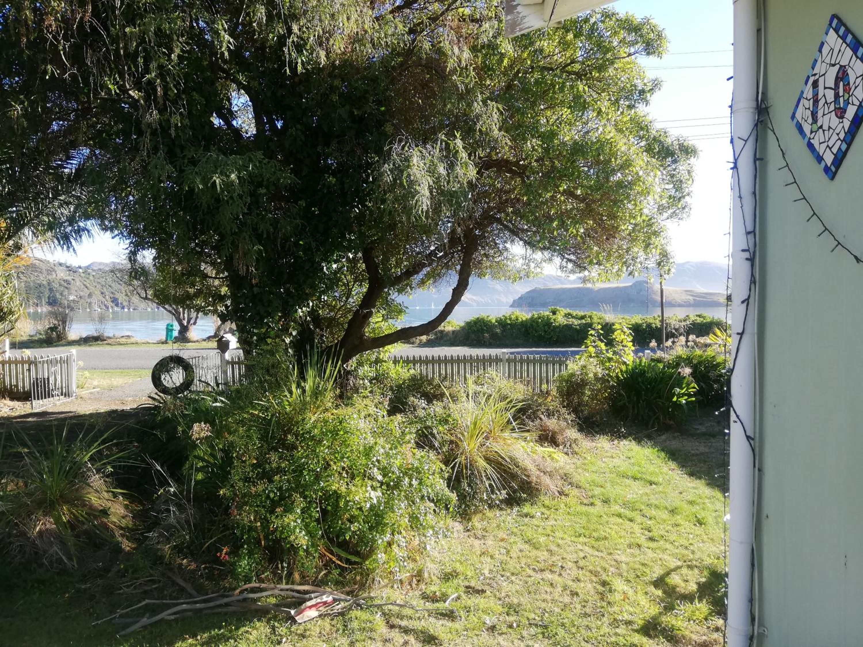 Photo 21