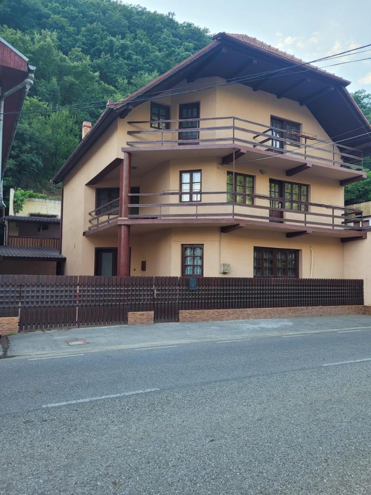 Casa Bașu view 3